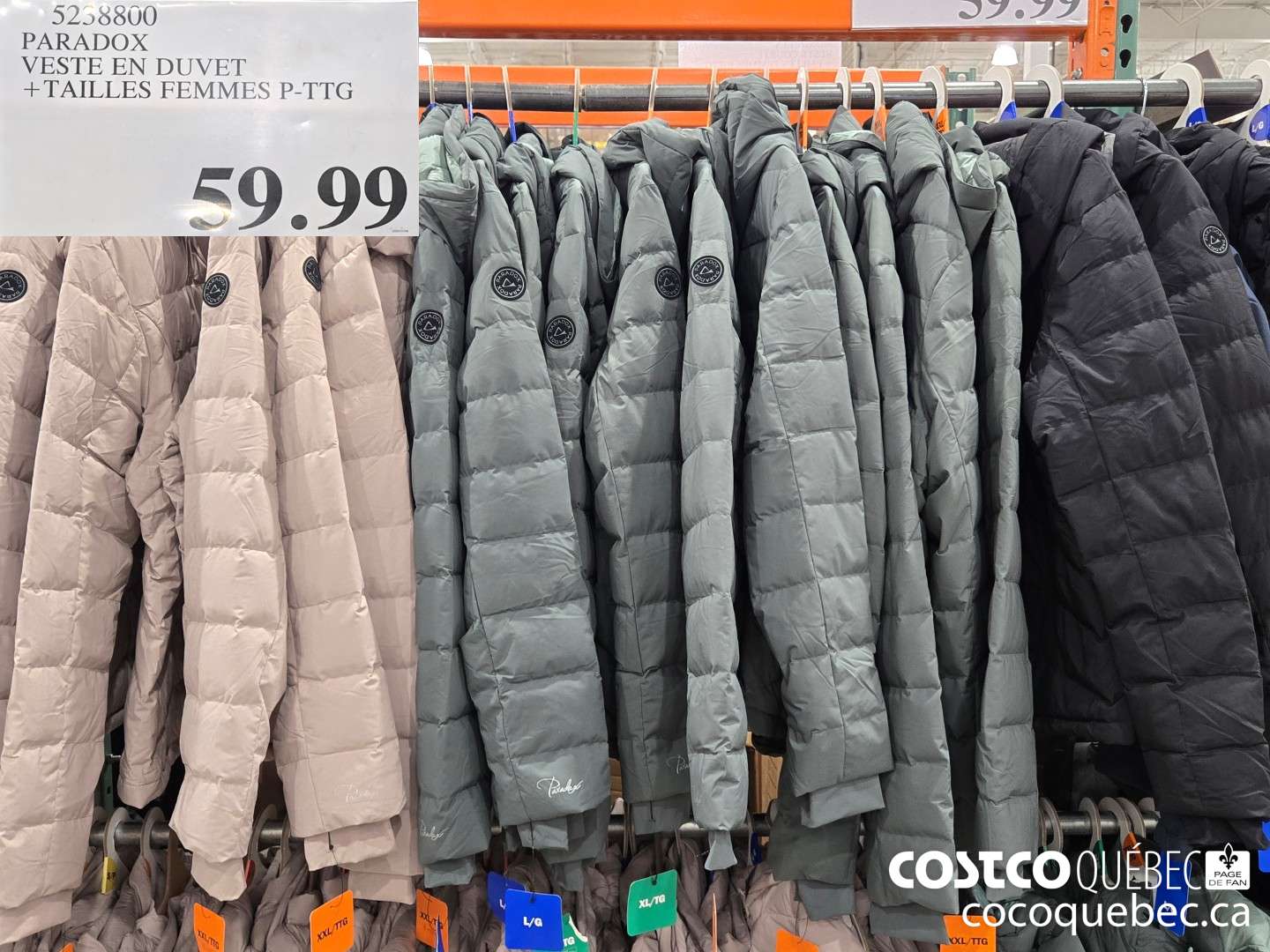 5238800 PARADOX VESTE EN DUVET +TAILLES FEMMES P-TTG  $59.99