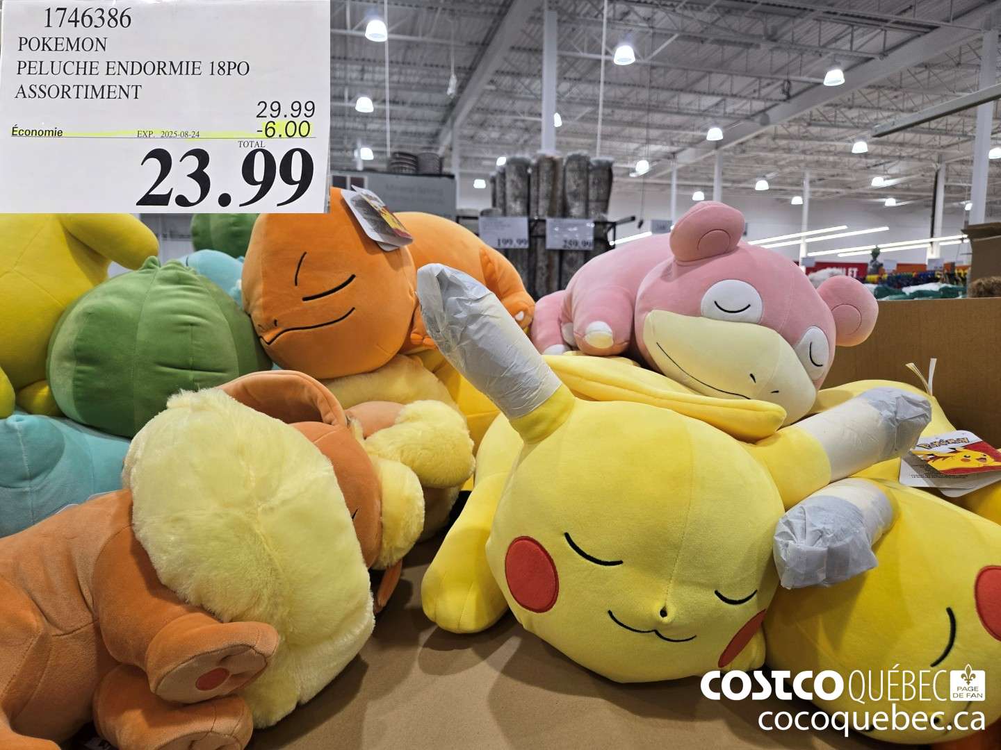 1746386 POKEMON PELUCHE ENDORMIE 18PO ASSORTIMENT  ($6.00 INSTANT SAVINGS EXPIRES ON 2025-08-24) $23.99