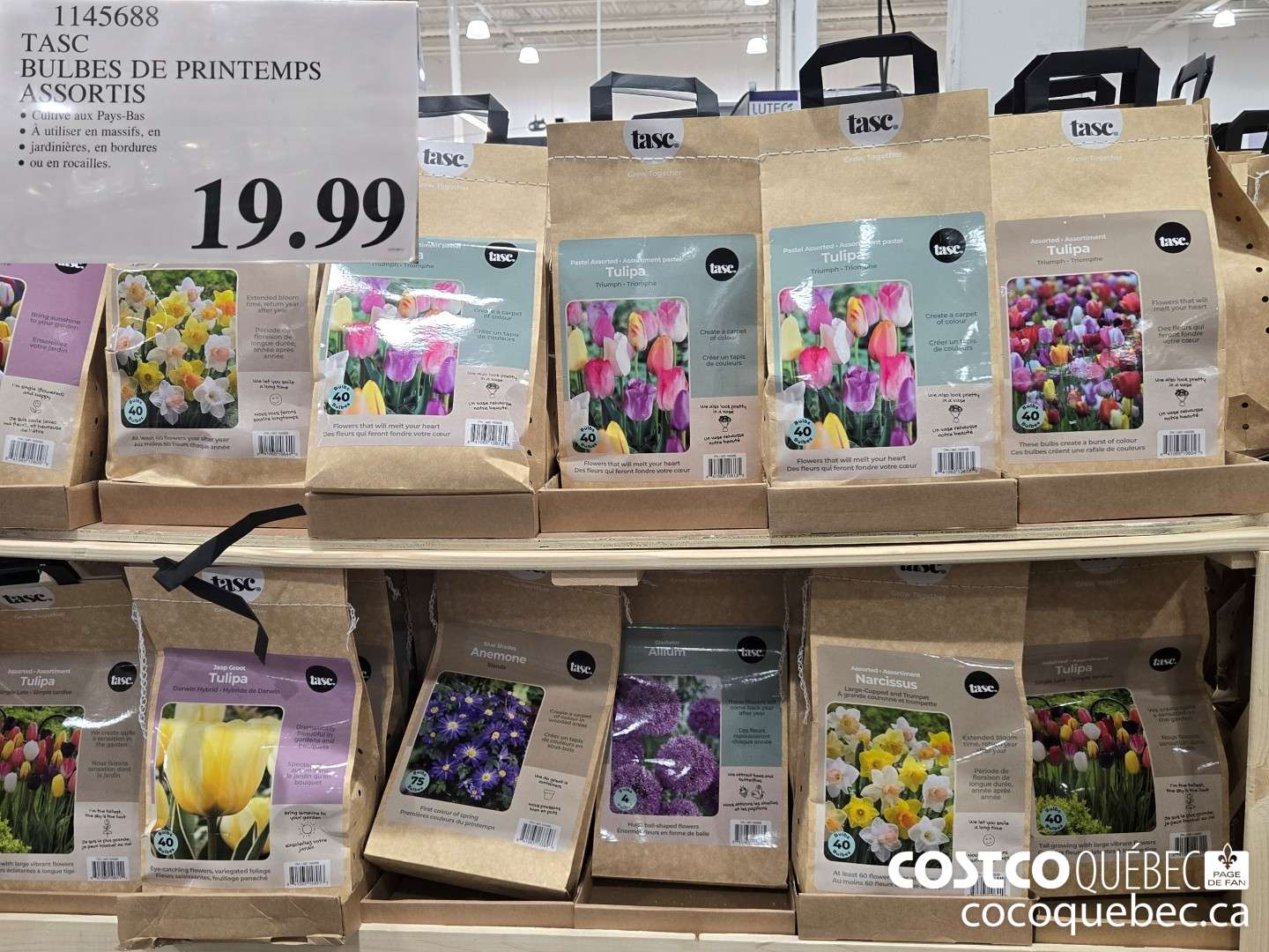 1145688 TASC BULBES DE PRINTEMPS ASSORTIS  $19.99