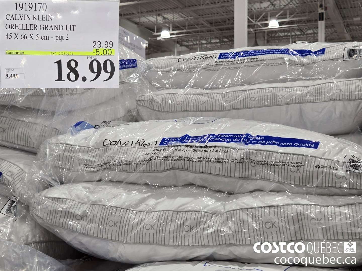 1919170 CALVIN KLEIN OREILLER GRAND LIT 45 X 66 XS cm ($5.00 INSTANT SAVINGS EXPIRES ON 2025-09-28) $18.99