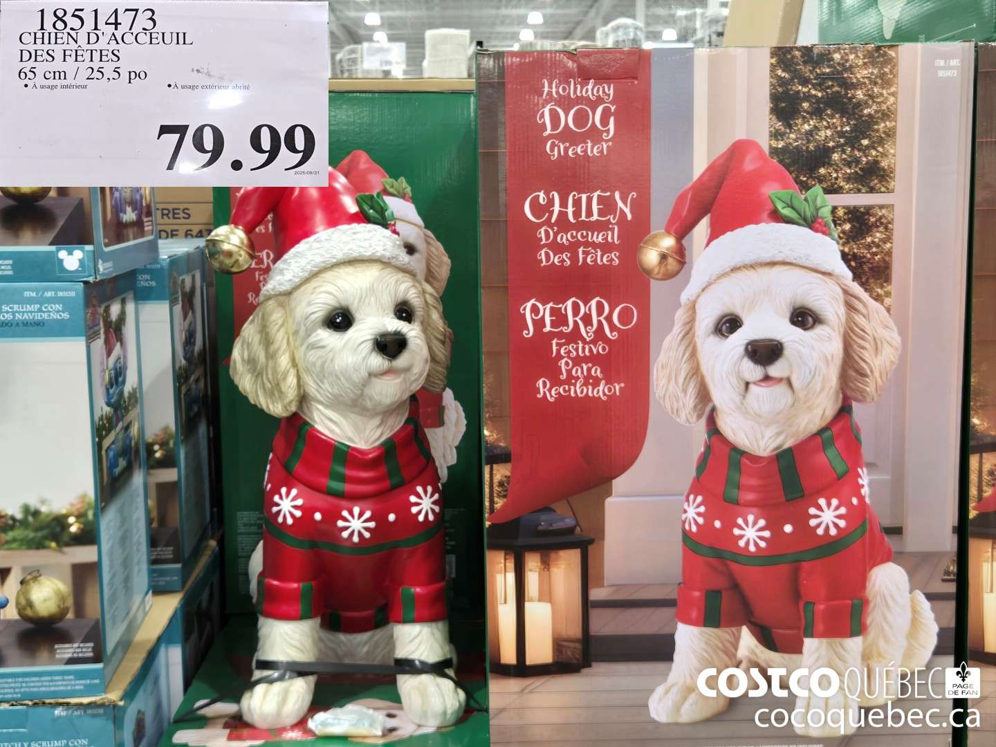 1851473 CHIEN D 'ACCEUIL  $79.99