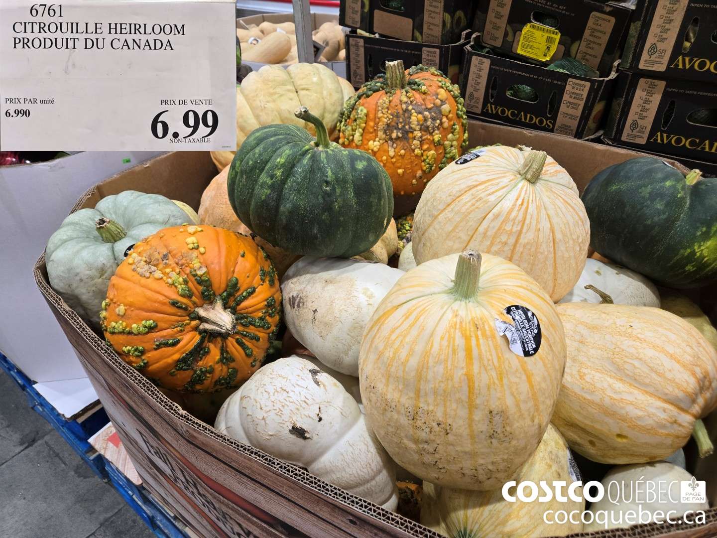 6761 CITROUILLE HEIRLOOM PRODUIT DU CANADA  $6.99