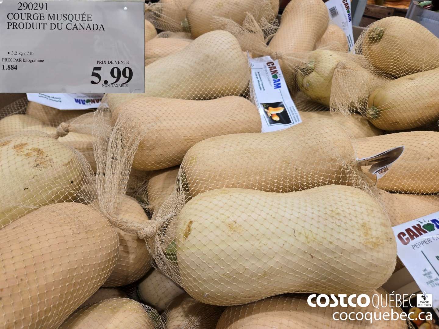 290291 COURGE MUSQUEE PRODUIT DU CANADA  $5.99