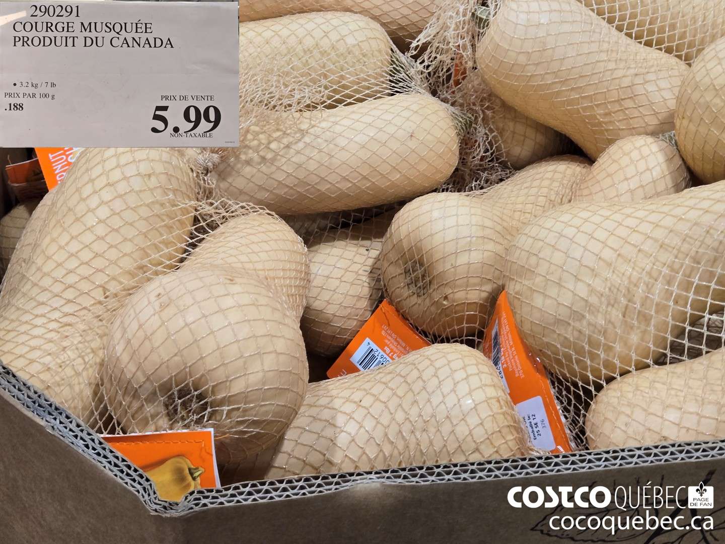290291 COURGE MUSQUEE PRODUIT DU CANADA  $5.99