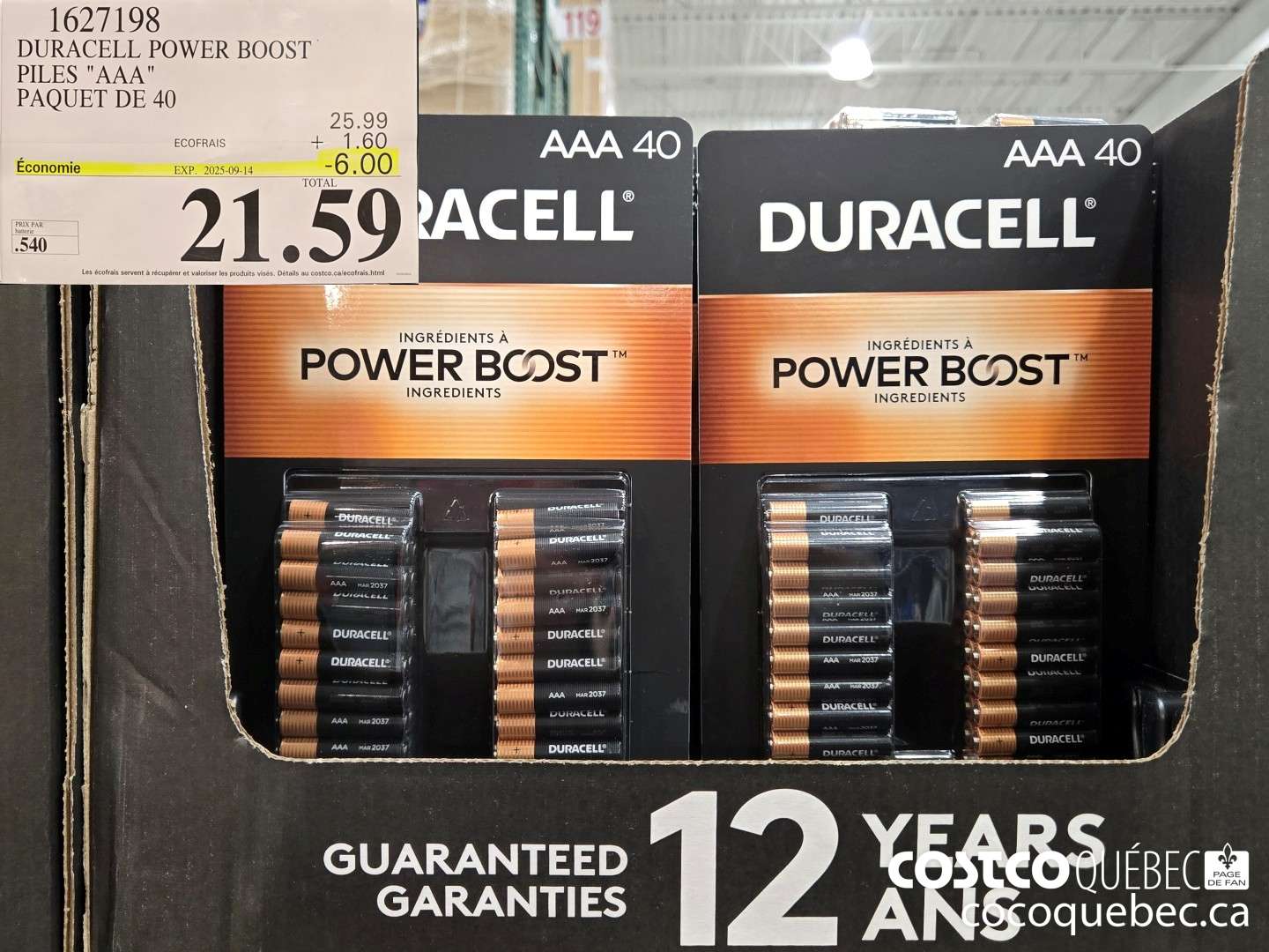 1627198 DURACELL POWER BOOST PILES 