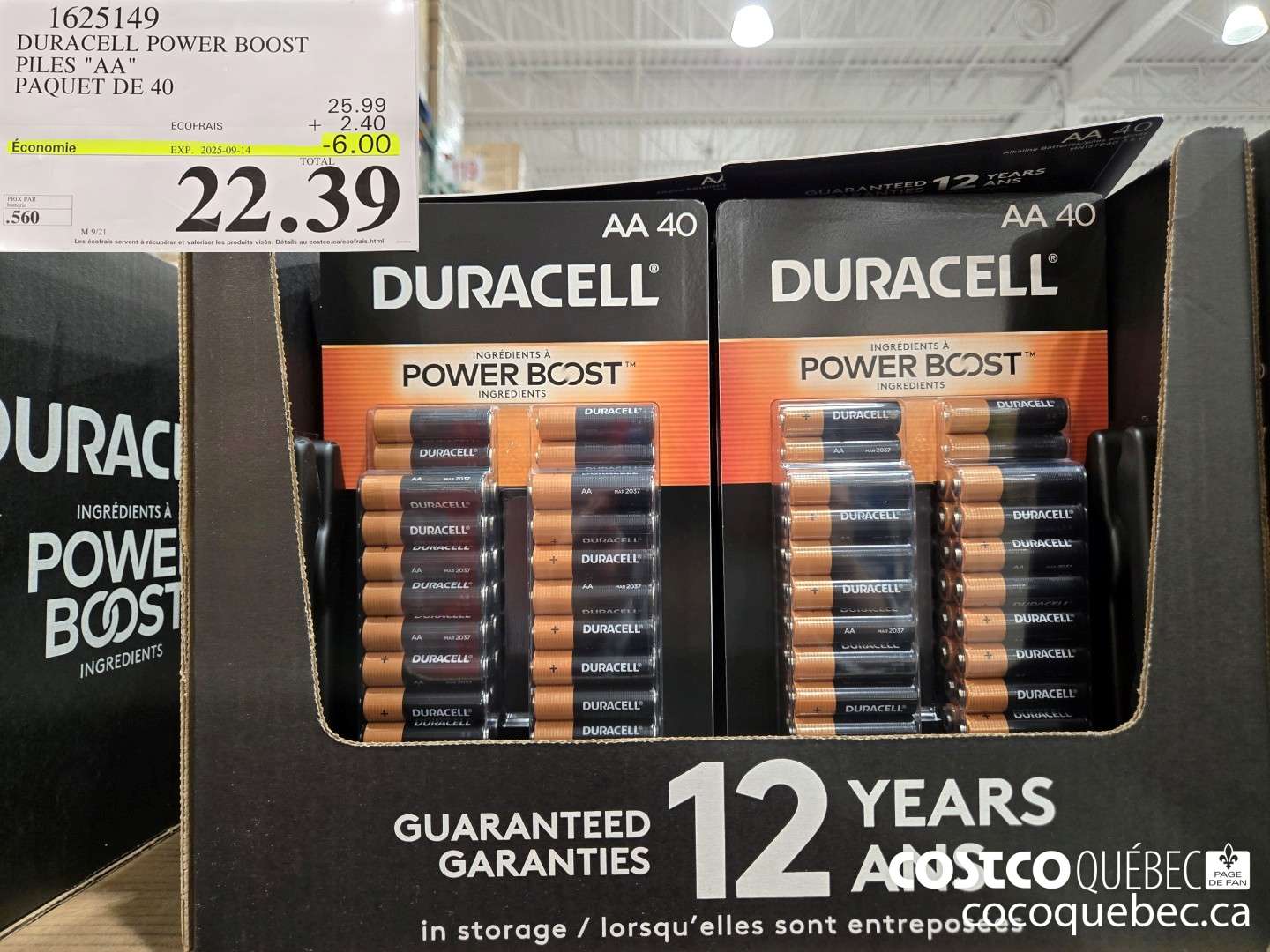 1625149 DURACELL POWER BOOST PILES 