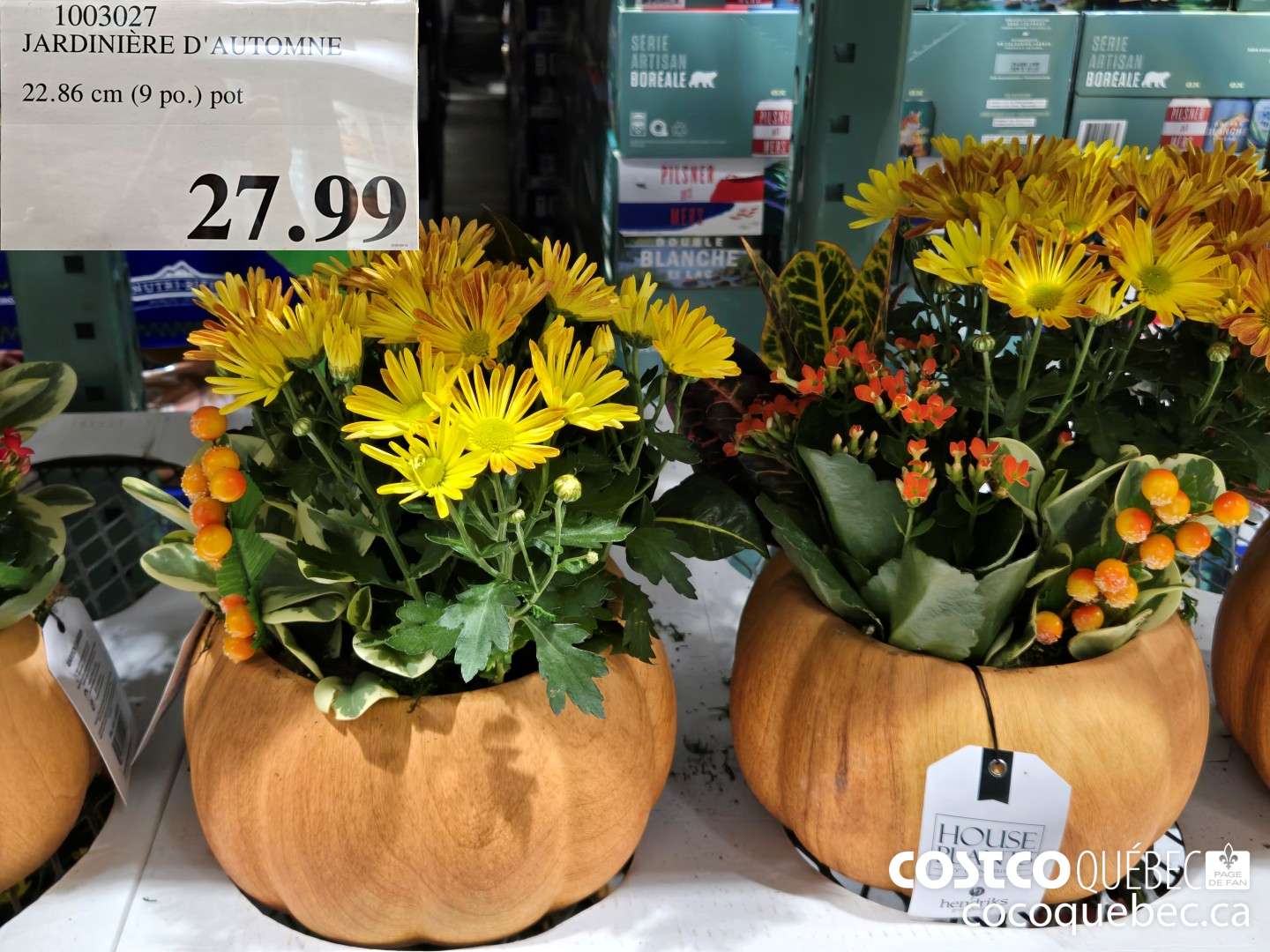 1003027 JARDINIERE D'AUTOMNE  $27.99