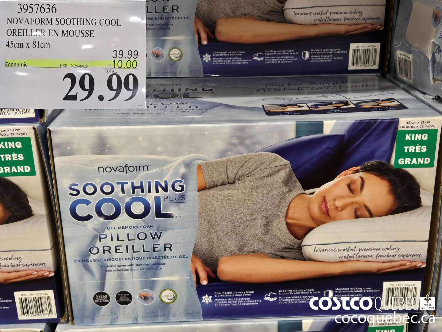 3957636 NOVAFORM SOOTHING COOL OREILLER EN MOUSSE 45cm x 81cm  ($10.00 INSTANT SAVINGS EXPIRES ON 2025-09-28) $29.99