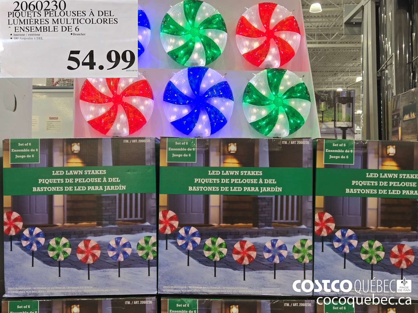 22060230 PIQUETS PELOUSES A DEL LUMIERES MULTICOLORES ENSEMBLE DE 6  $54.99