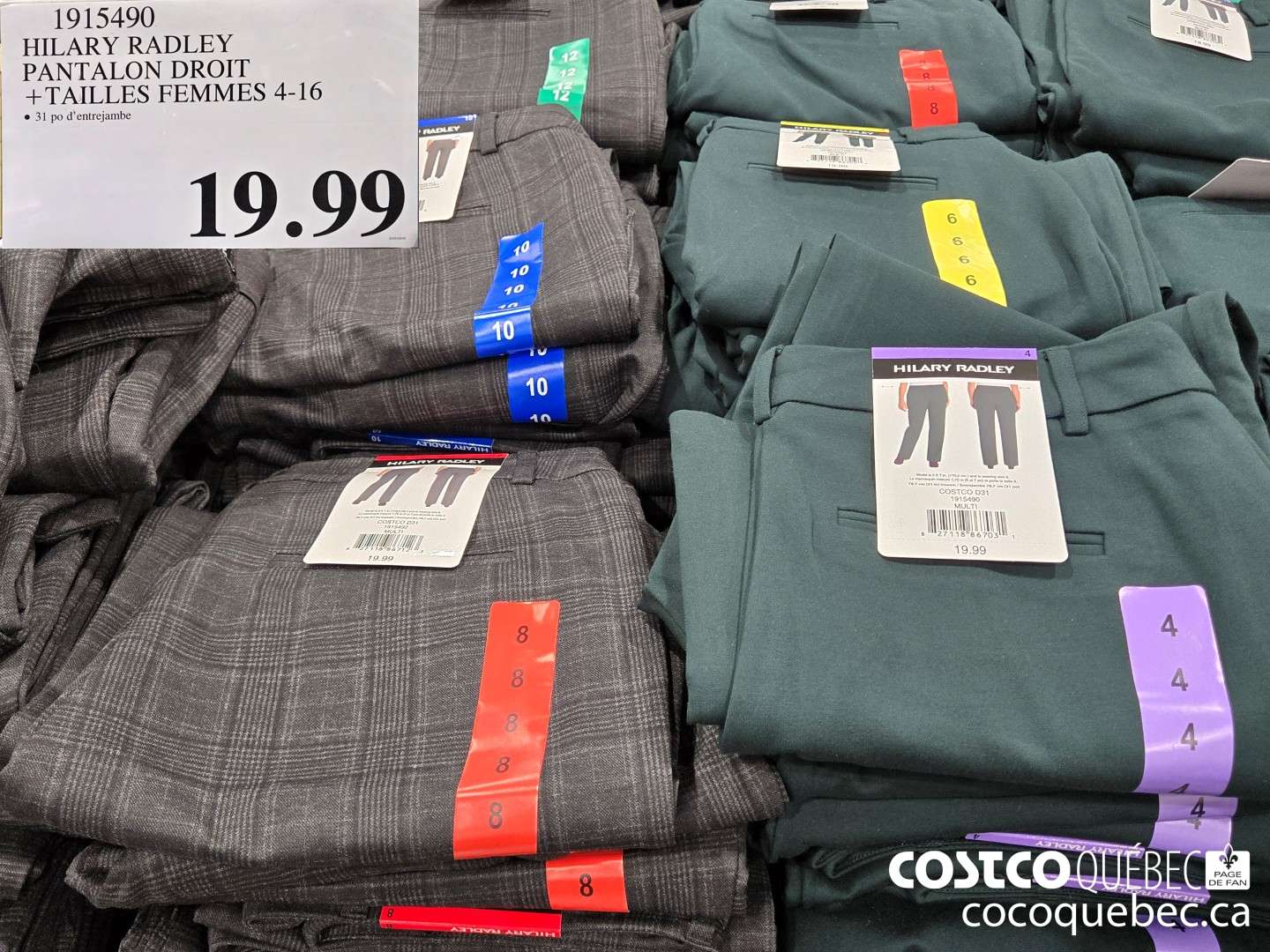 1915490 HILARY RADLEY - PANTALON DROIT TAILLES FEMMES 4-16  $19.99