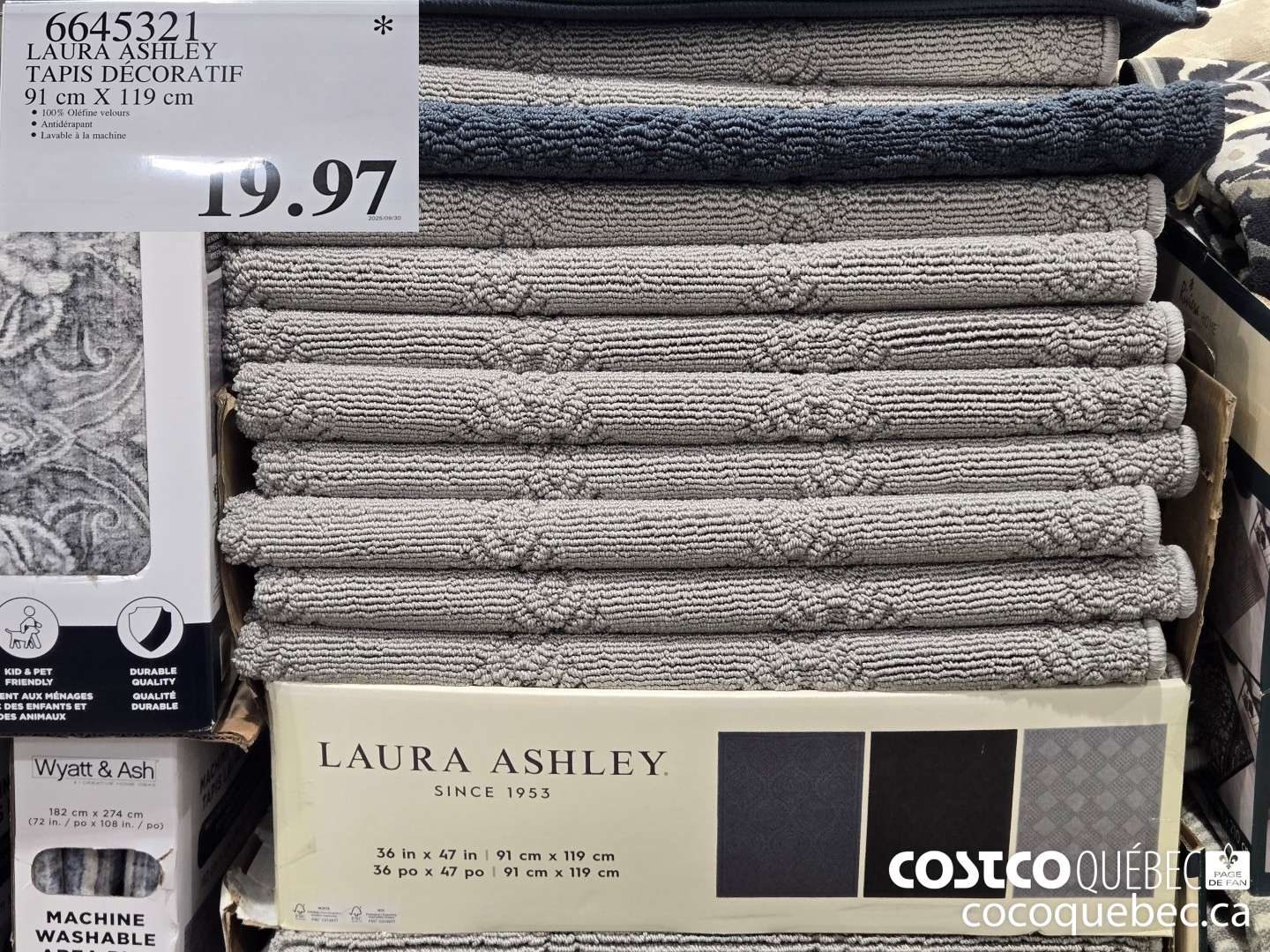 6645321 LAURA ASHLEY TAPIS DECORATIF 91 cm X 119 cm  $19.97