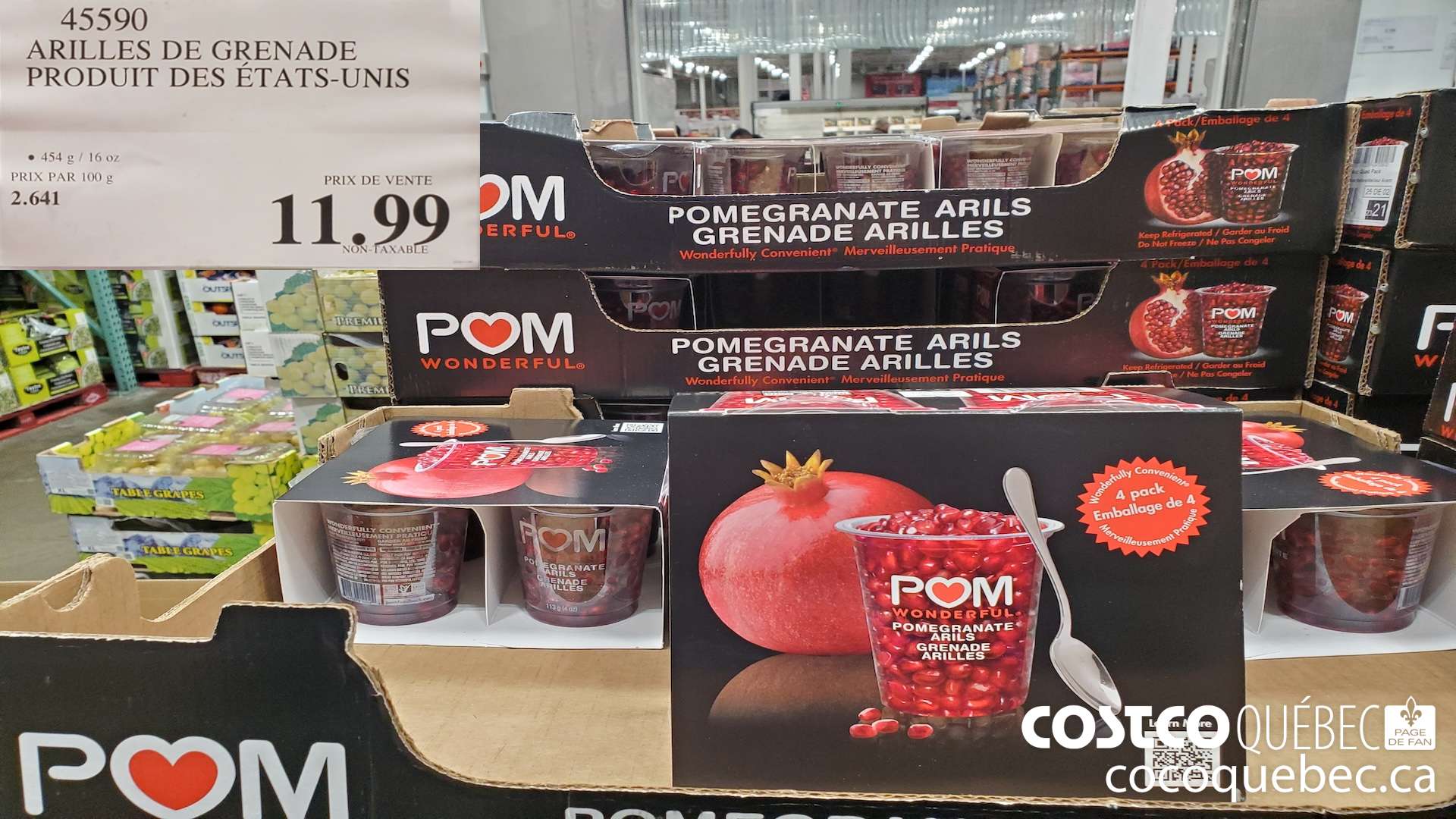 45590 ARILLES DE GRENADE PRODUIT DES ETATS-UNIS $11.99