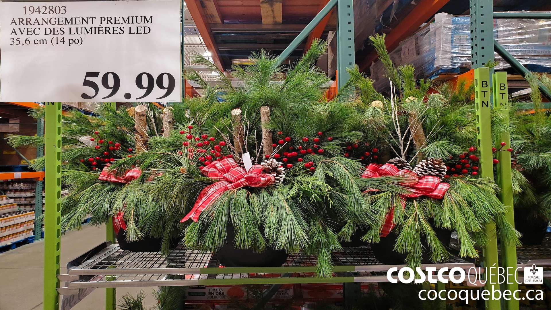 1942803 ARRANGEMENT PREMIUM AVEC DES LUMIERES LED 35,6 cm (14 po) $59.99