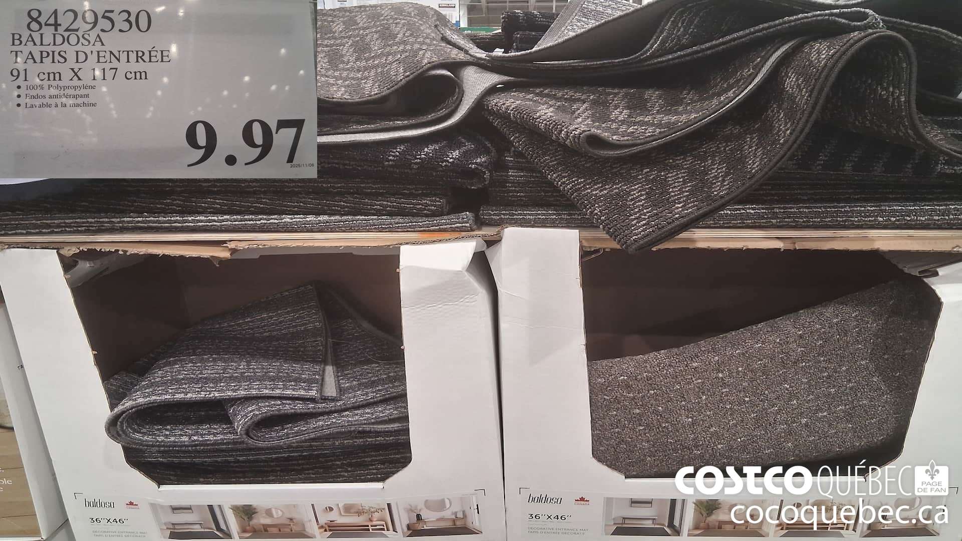8429530 BALDOSA TAPIS D'ENTREE 91CM X 117CM $9.97