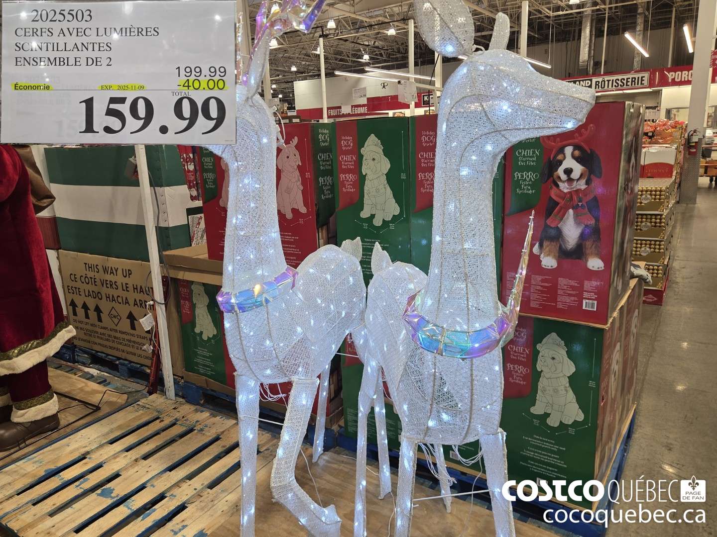 2025503 CERFS AVEC LUMIERES SCINTILLANTES ENSEMBLE DE 2 ($40.00 INSTANT SAVINGS EXPIRES ON 2025-11-09) $159.99