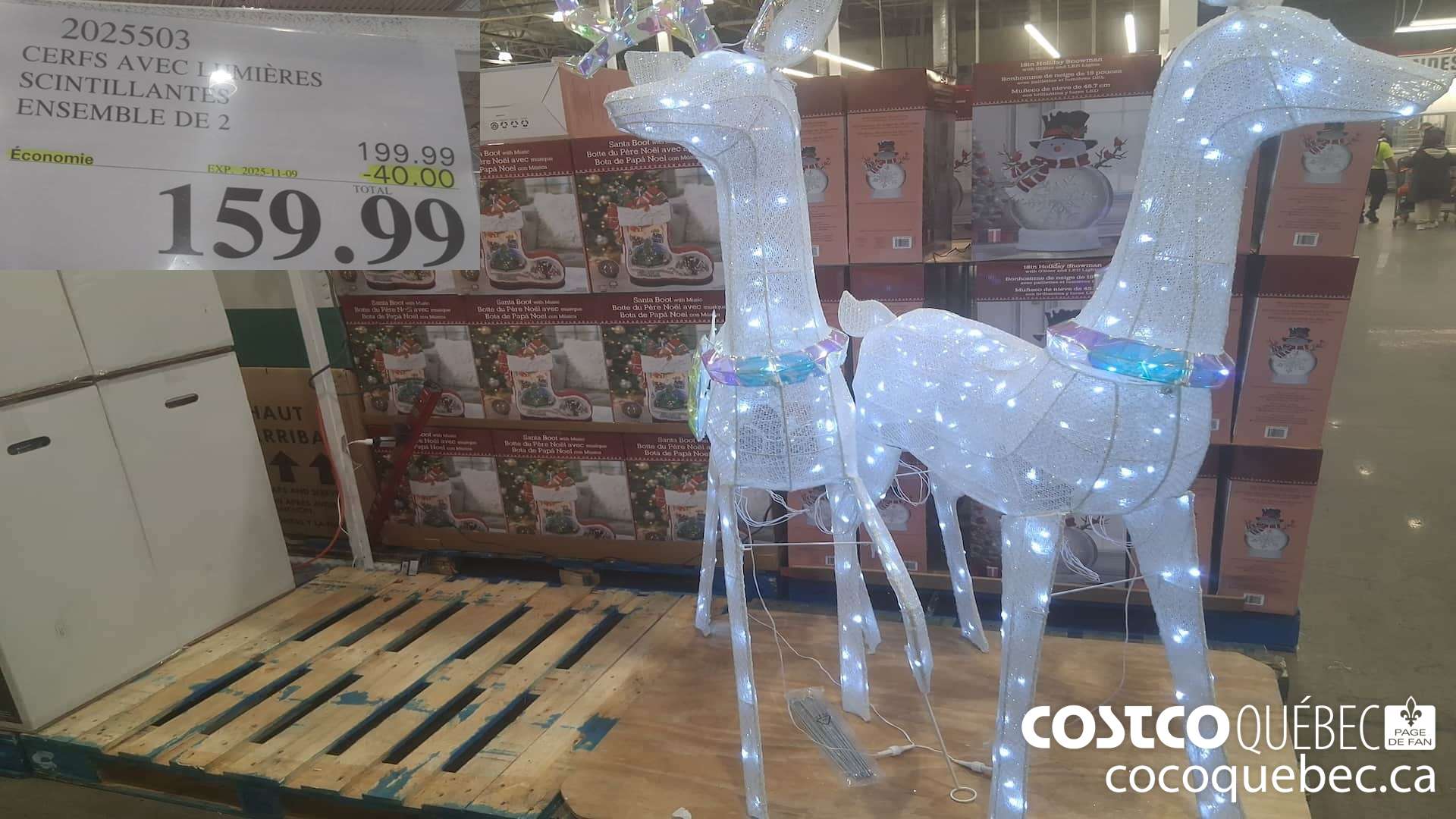 2025503 CERFS AVEC LUMIERES SCINTILLANTES ENSEMBLE DE 2 ($40.00 INSTANT SAVINGS EXPIRES ON 2025-11-09) $159.99