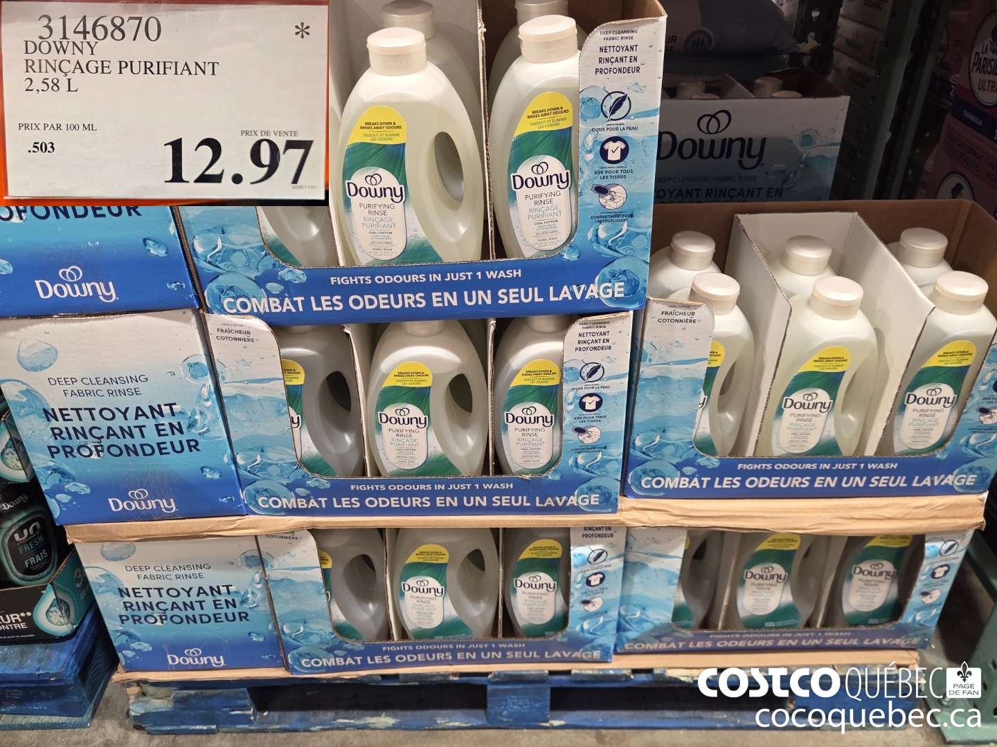 3146870 DOWNY RINCAGE PURIFIANT 2,58L $12.97