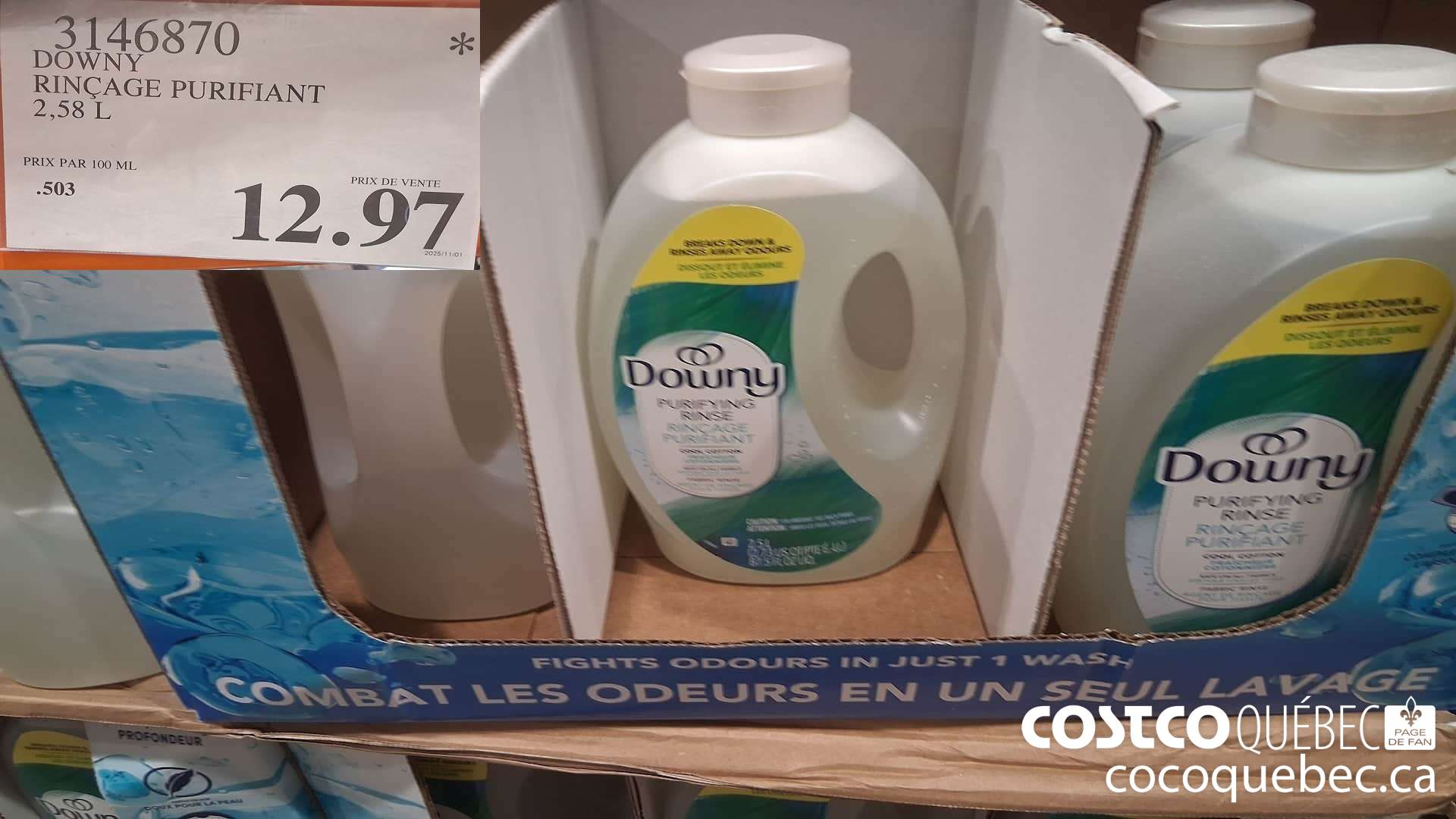 3146870 DOWNY RINCAGE PURIFIANT 2,58L $12.97