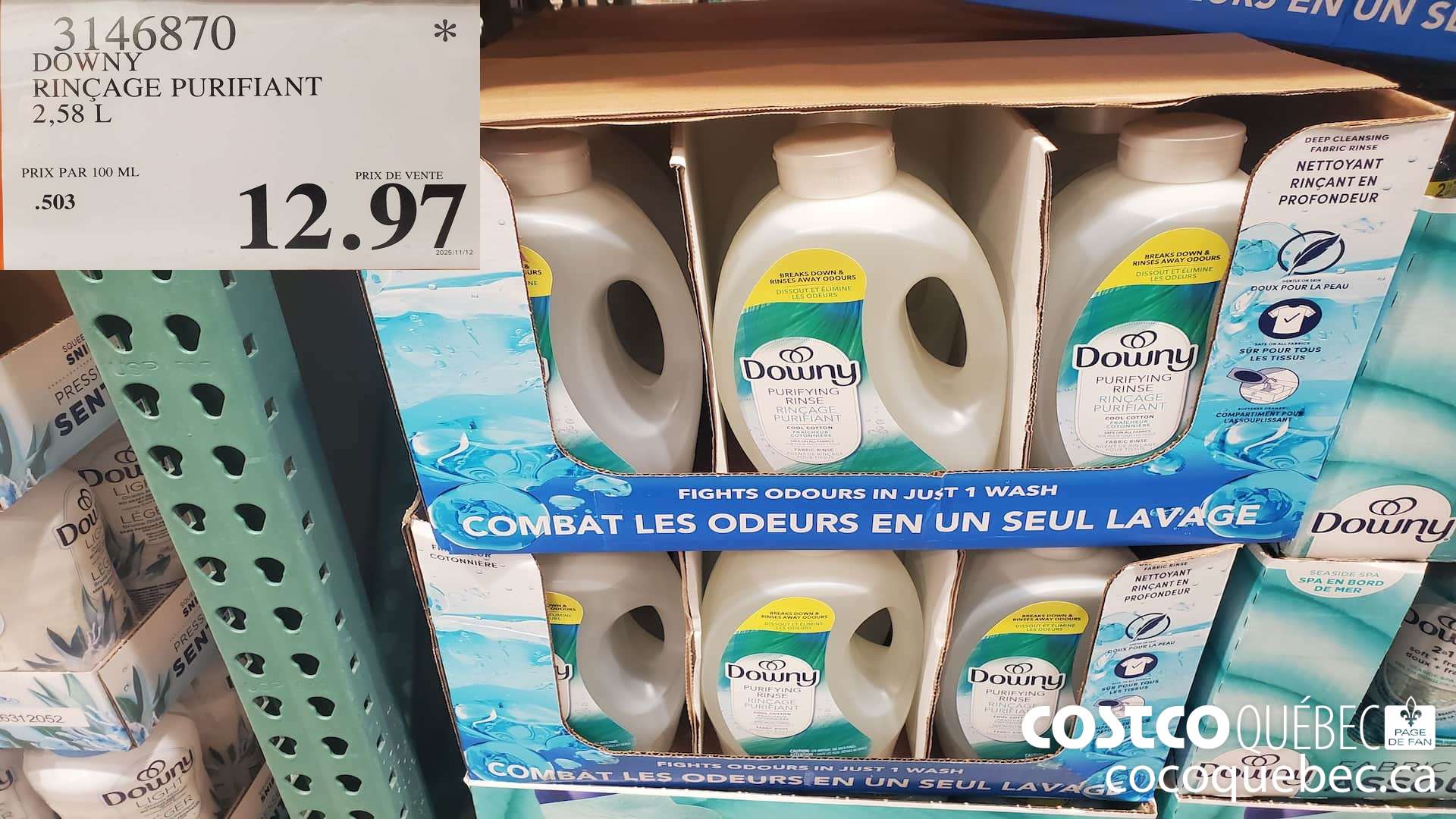 3146870 DOWNY RINCAGE PURIFIANT 2,58L $12.97