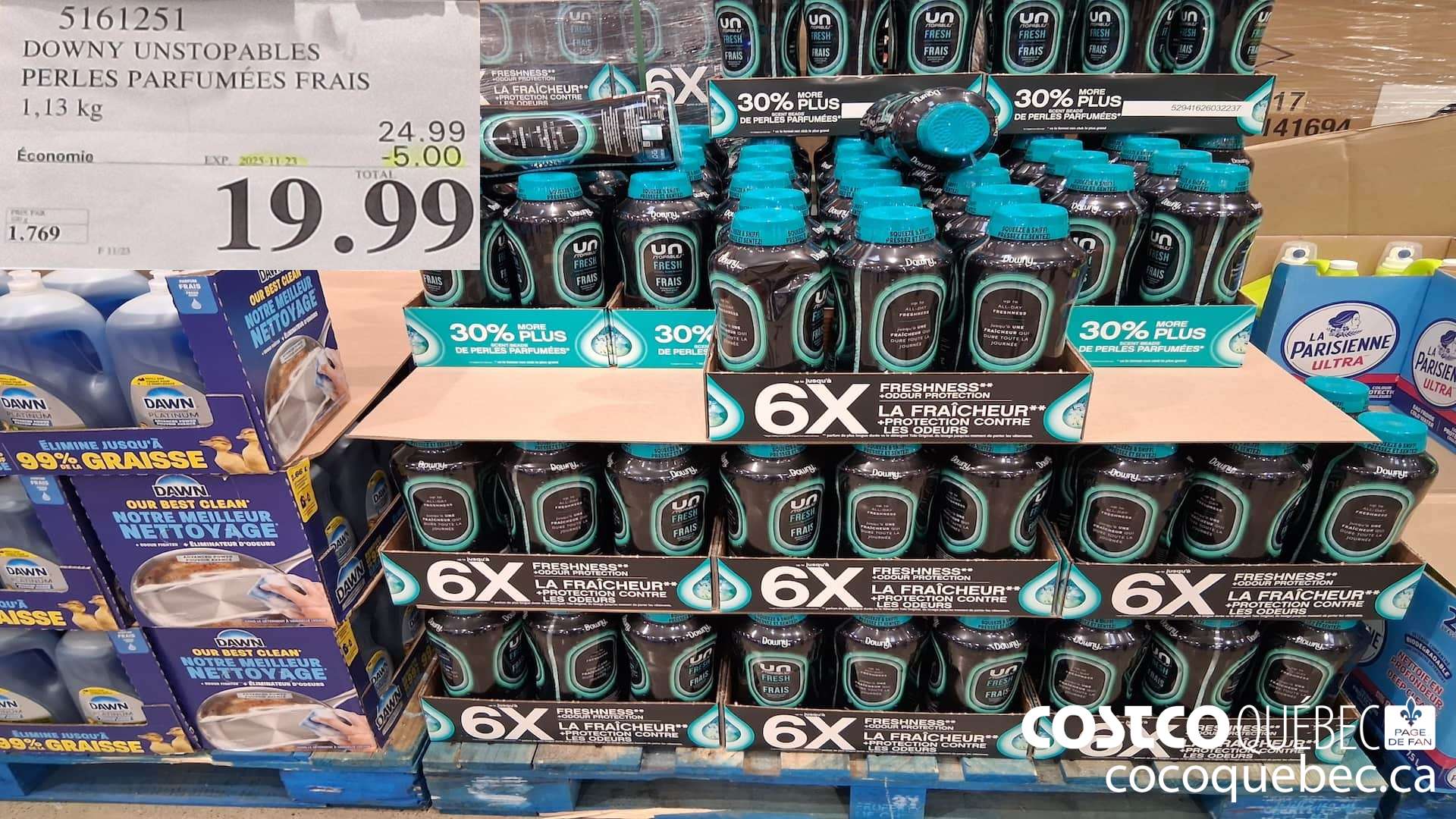 5161251 DOWNY UNSTOPABLES PERLES PARFUMEES FRAIS 1,13KG ($5.00 INSTANT SAVINGS EXPIRES ON 2025-11-23) $19.99