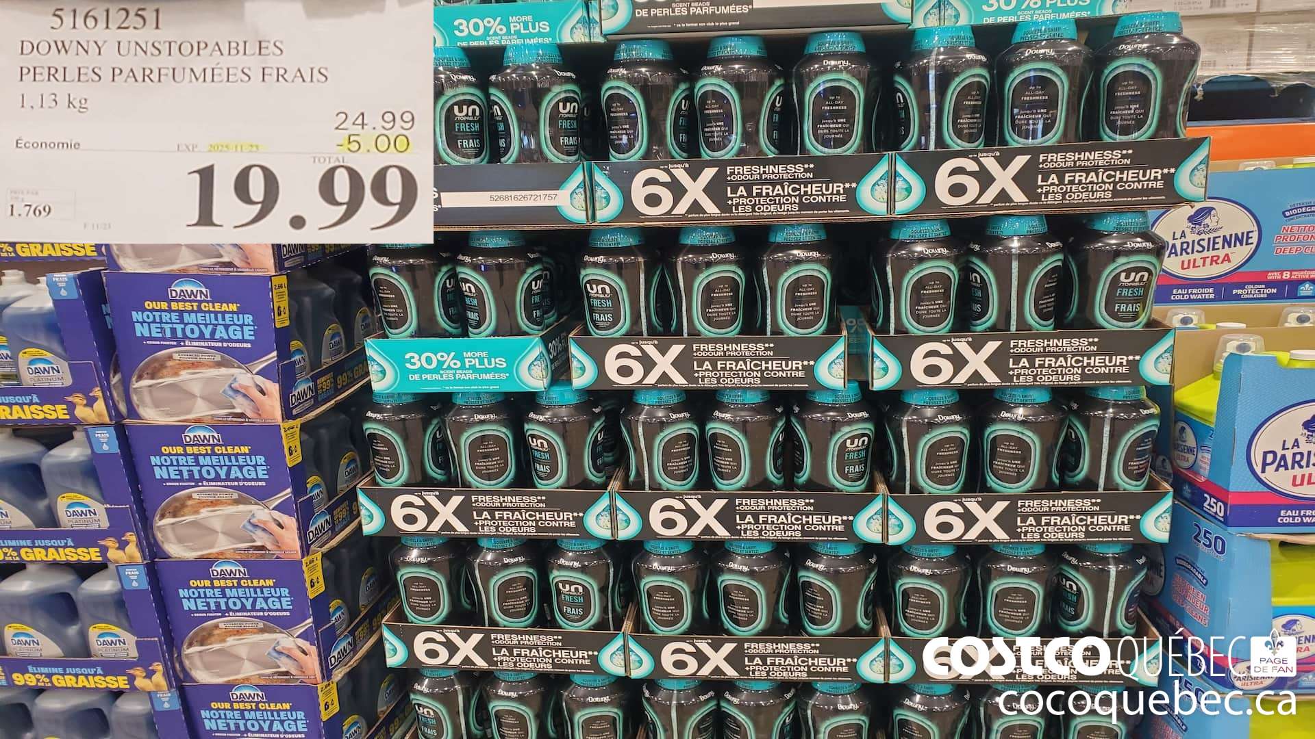 5161251 DOWNY UNSTOPABLES PERLES PARFUMEES FRAIS 1,13KG ($5.00 INSTANT SAVINGS EXPIRES ON 2025-11-23) $19.99