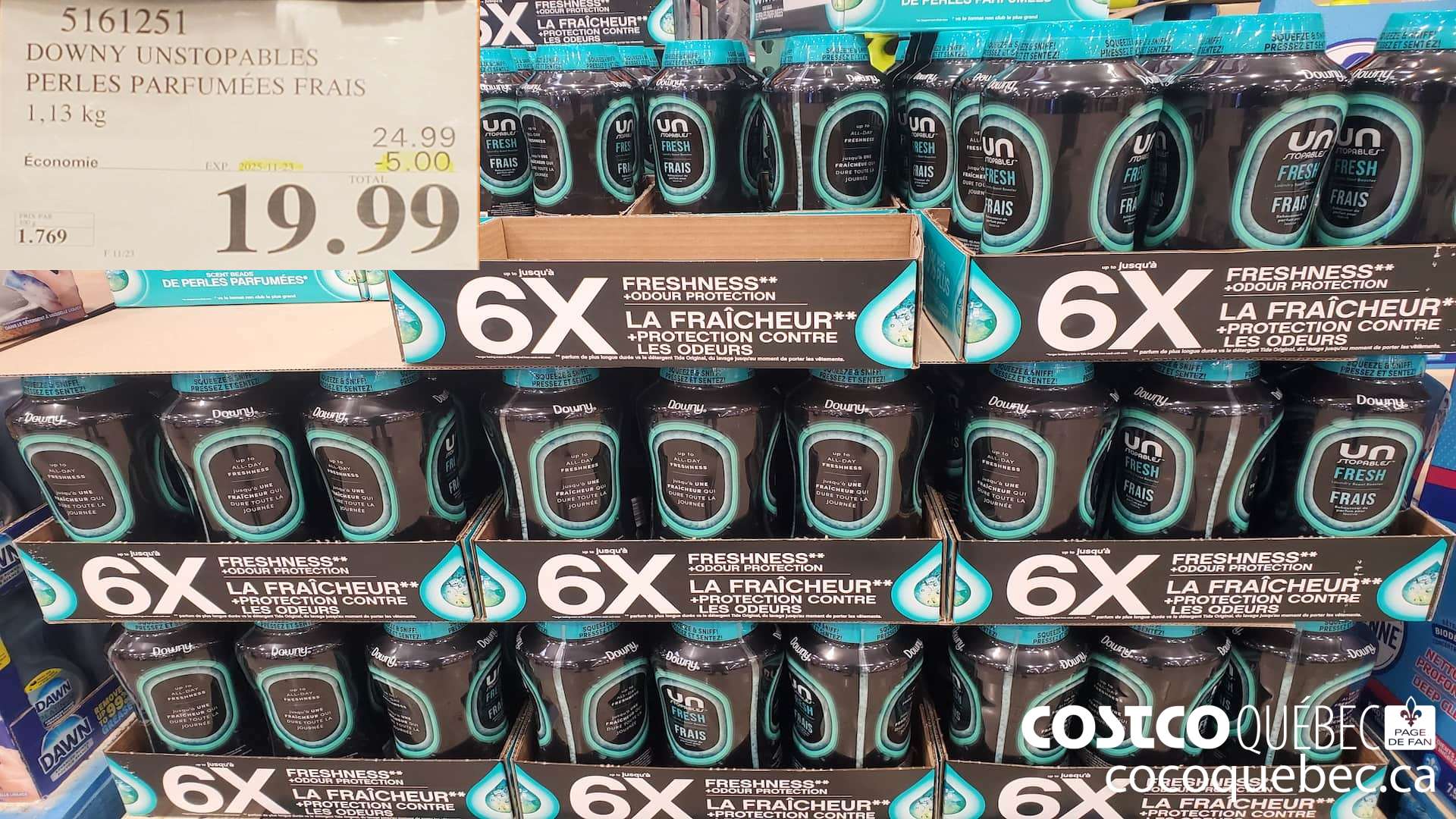 5161251 DOWNY UNSTOPABLES PERLES PARFUMEES FRAIS 1,13KG ($5.00 INSTANT SAVINGS EXPIRES ON 2025-11-23) $19.99
