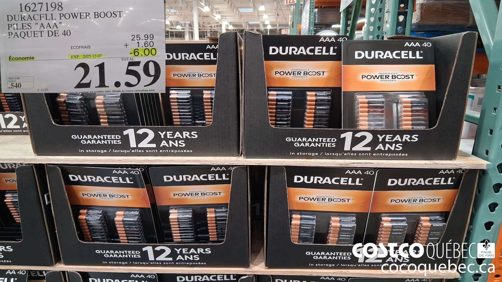 1627198 DURACELL POWER BOOST PILES 
