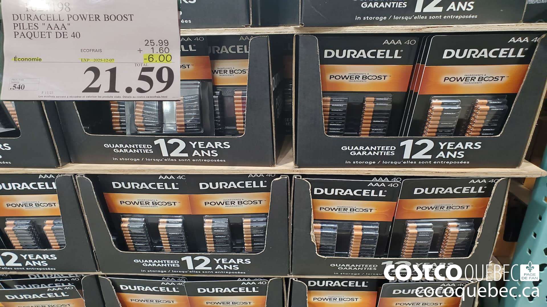 1627198 DURACELL POWER BOOST PILES 