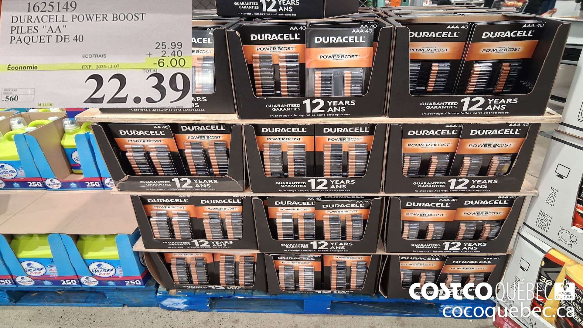 1625149 DURACELL POWER BOOST PILES 