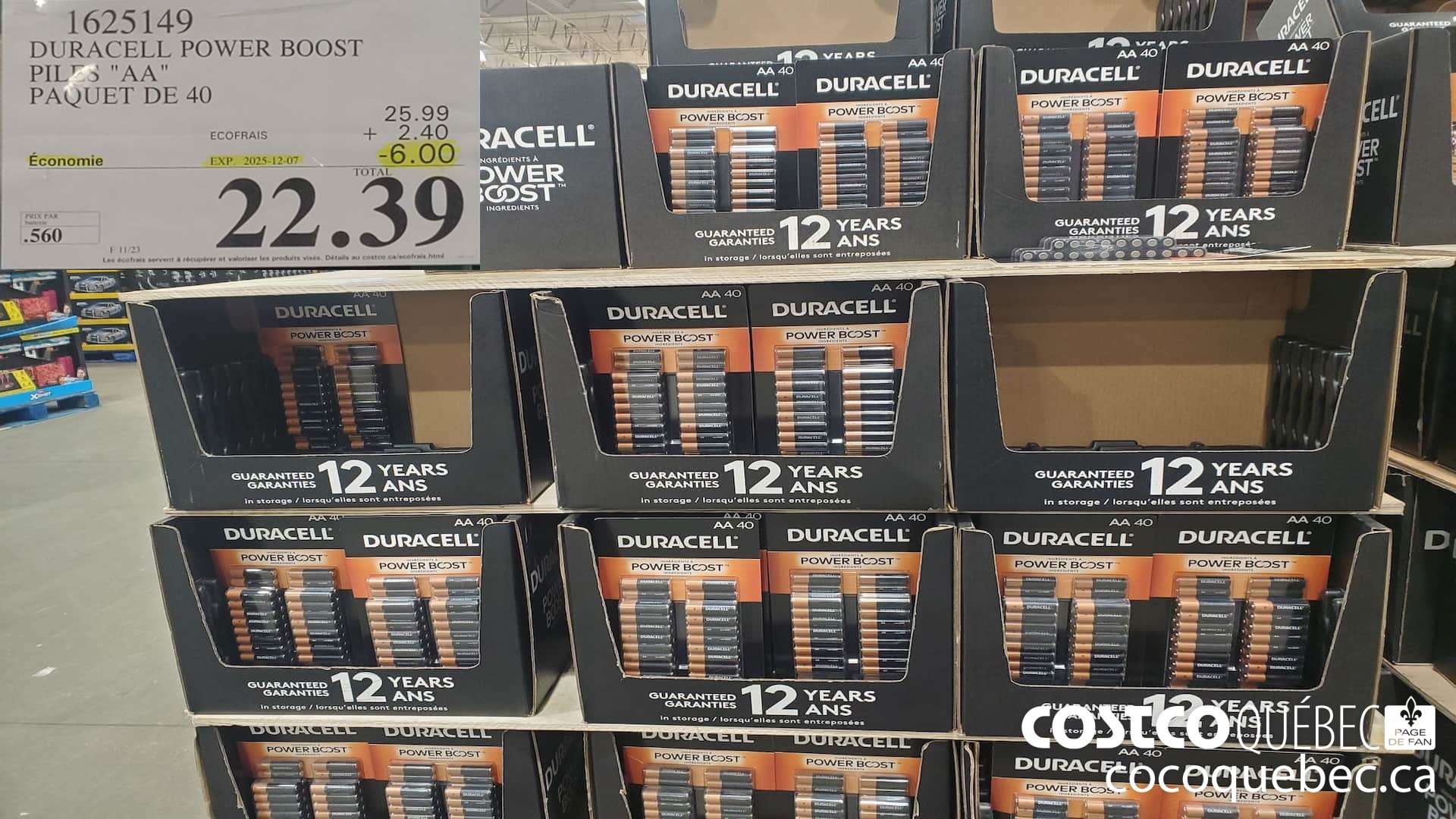 1625149 DURACELL POWER BOOST PILES 