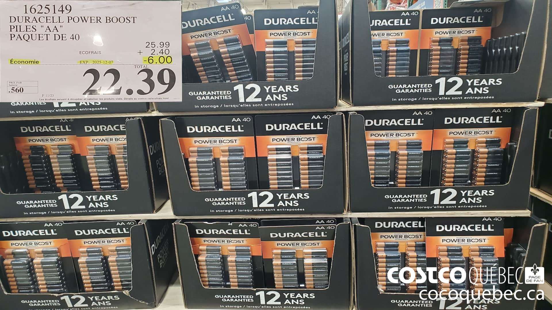 1625149 DURACELL POWER BOOST PILES 
