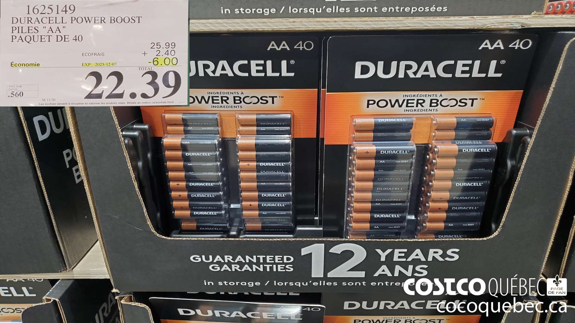1625149 DURACELL POWER BOOST PILES 