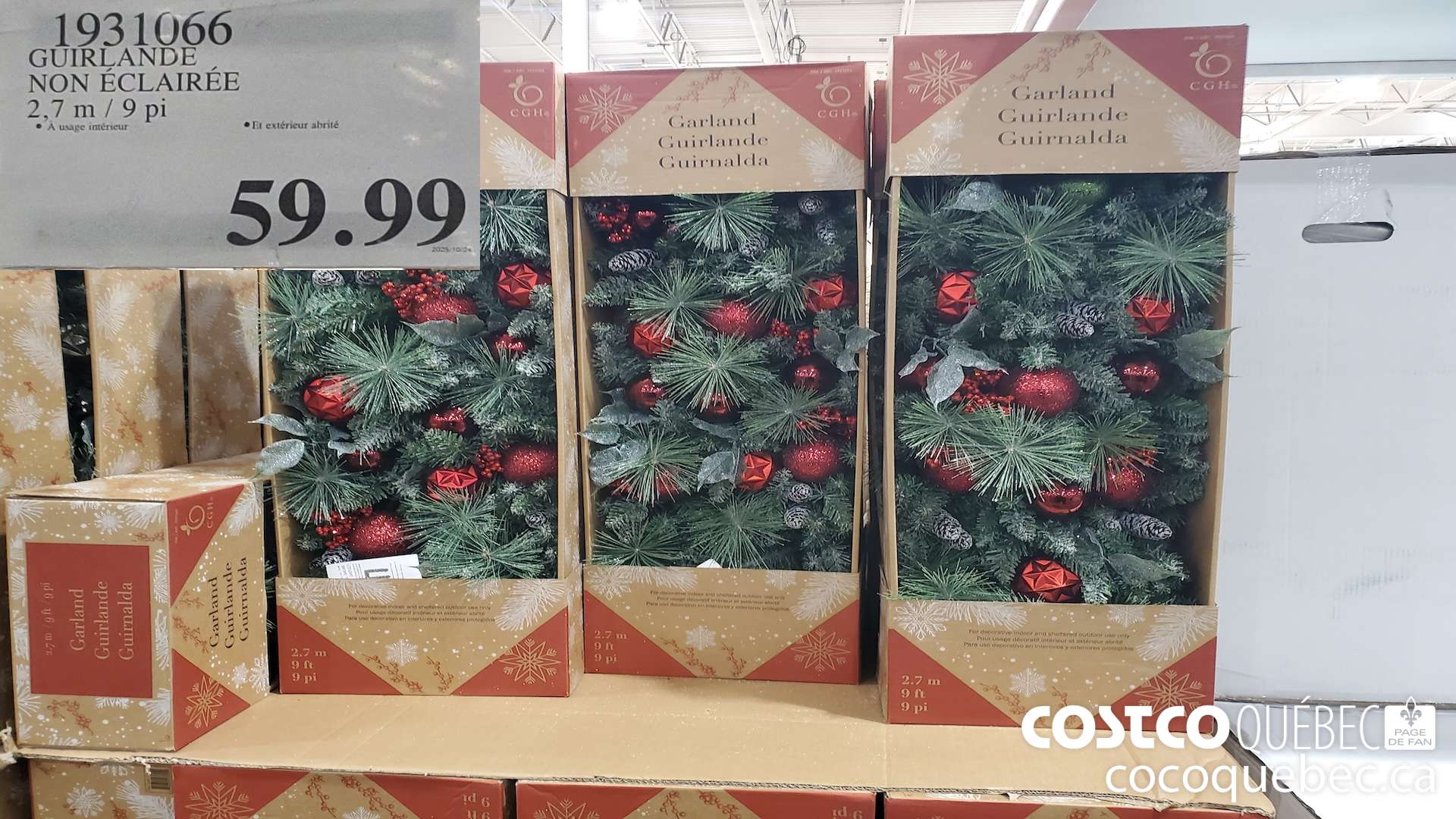 1931066 GUIRLANDE NON ECLAIREE 2,7 m/ 9 pi  $59.99