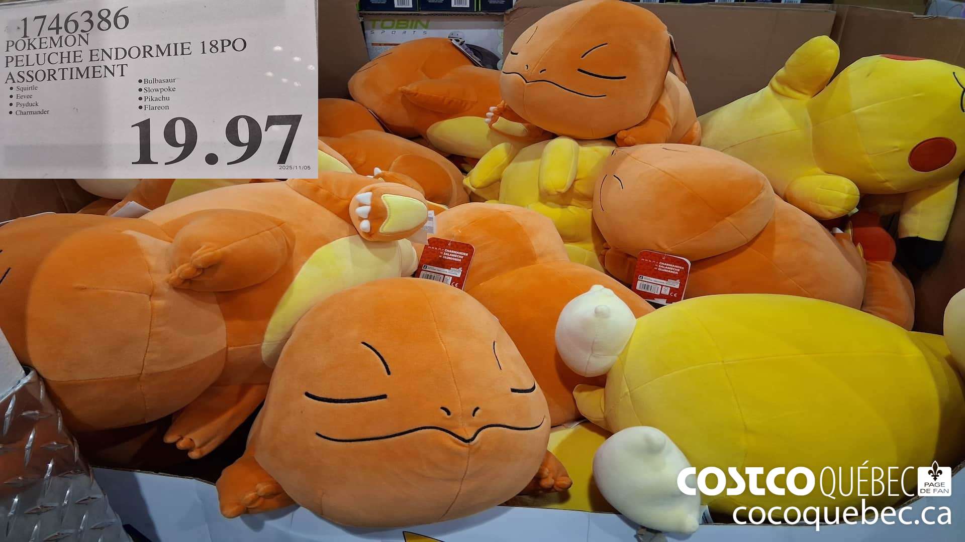 1746386 POKEMON PELUCHE ENDORMIE 18PO ASSORTIMENT  $19.97