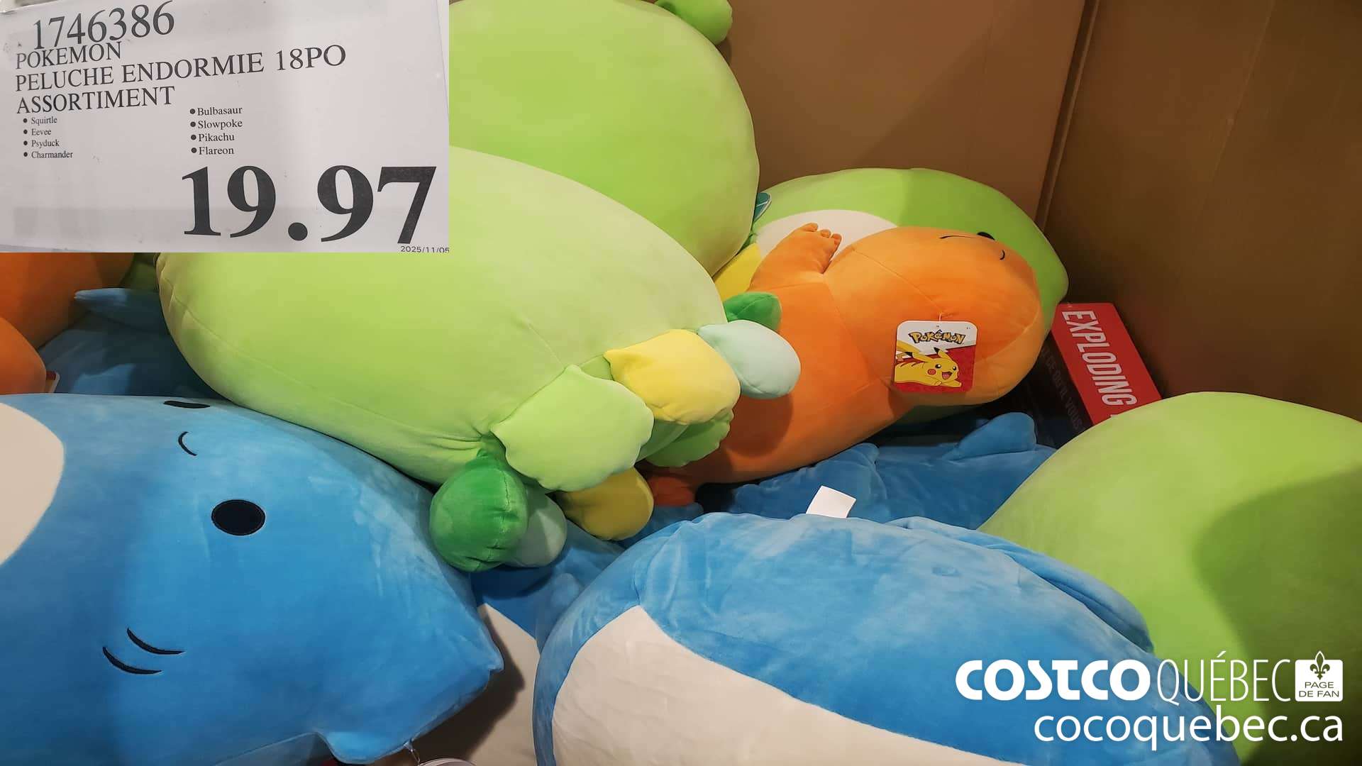 1746386 POKEMON PELUCHE ENDORMIE 18PO ASSORTIMENT  $19.97