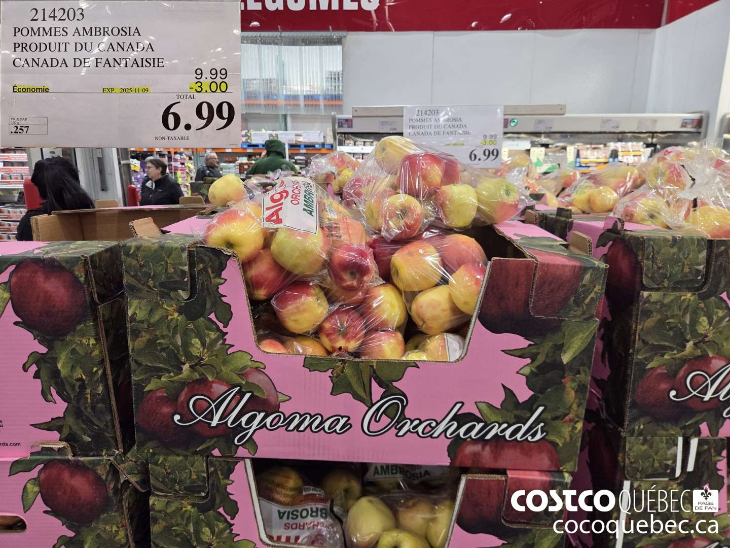 214203 POMMES AMBROSIA PRODUIT DU CANADA CANADA DE FANTAISIE ($3.00 INSTANT SAVINGS EXPIRES ON 2025-11-09) $6.99