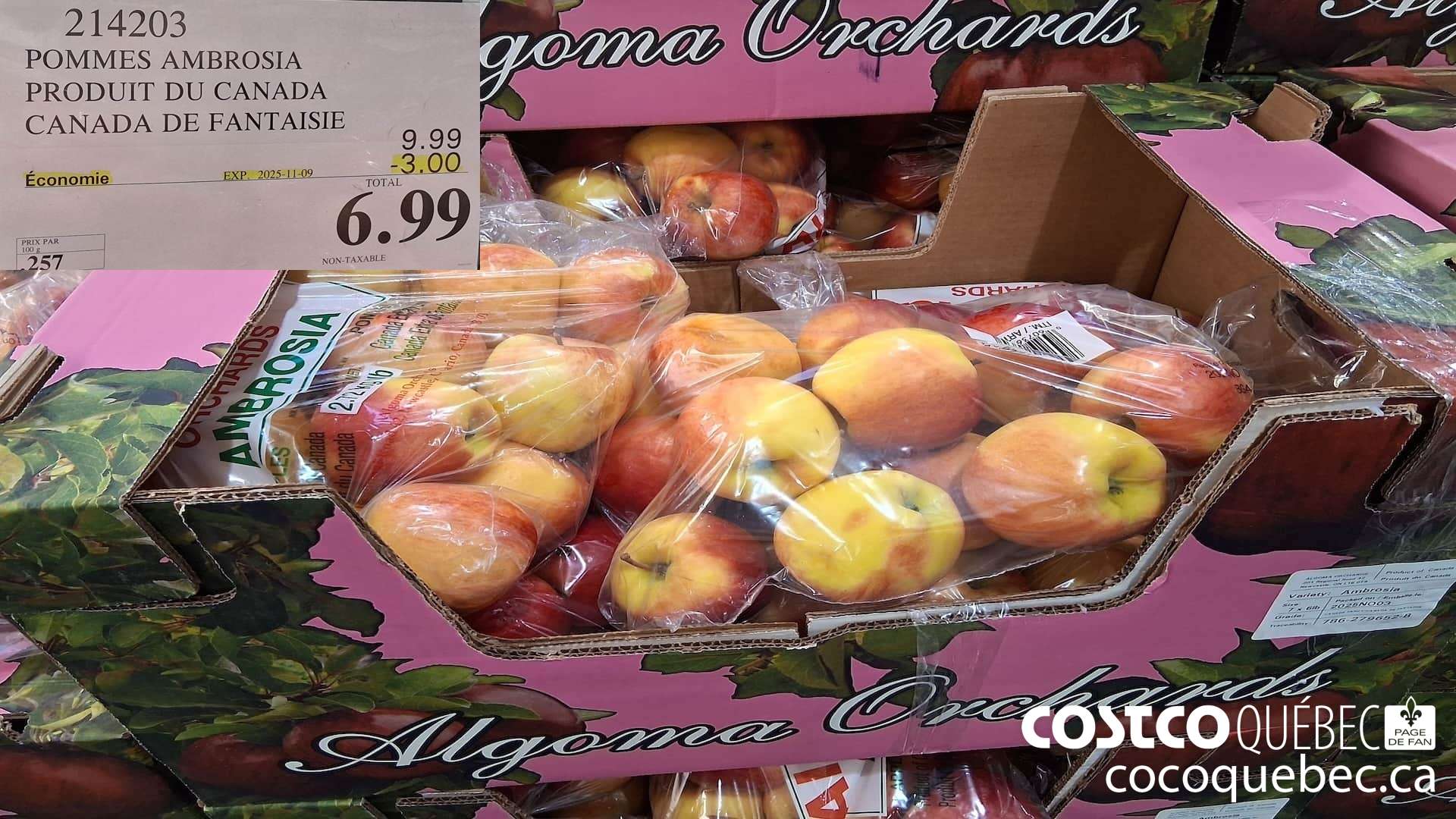 214203 POMMES AMBROSIA PRODUIT DU CANADA CANADA DE FANTAISIE ($3.00 INSTANT SAVINGS EXPIRES ON 2025-11-09) $6.99