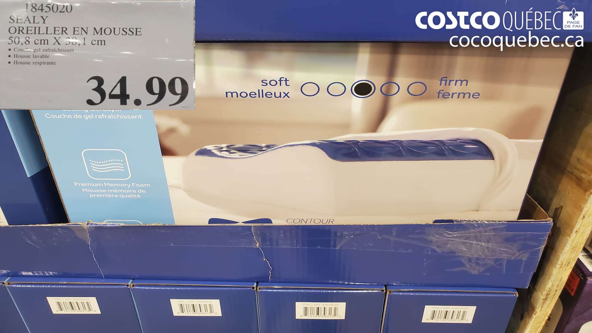 1845020 SEALY OREILLER EN MOUSSE 50,8 cm X 38,1 cm $34.99