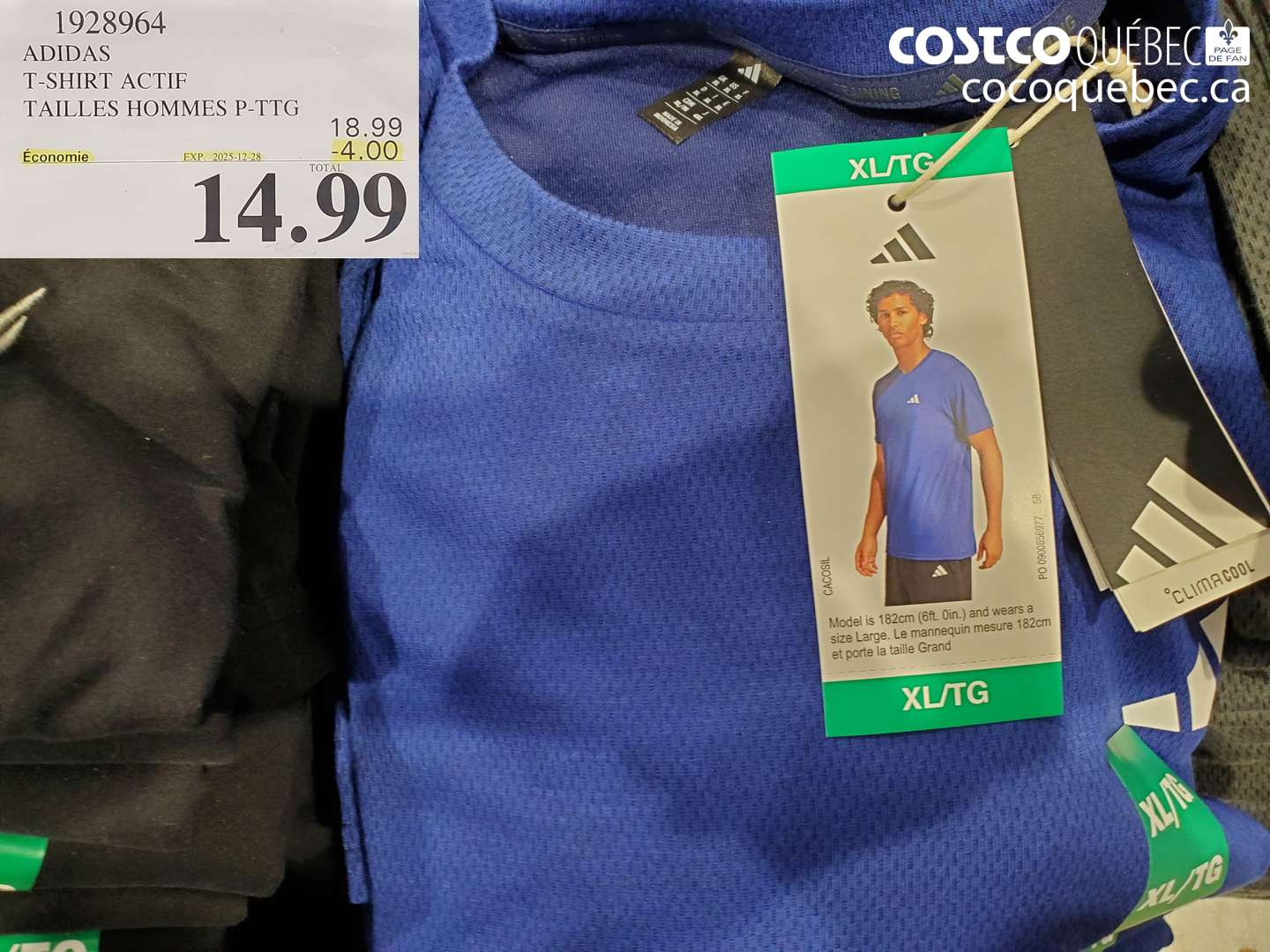 1928964 ADIDAS T-SHIRT ACTIF TAILLES HOMMES P-PTG ($4.00 INSTANT SAVINGS EXPIRES ON 2025-12-28) $14.99