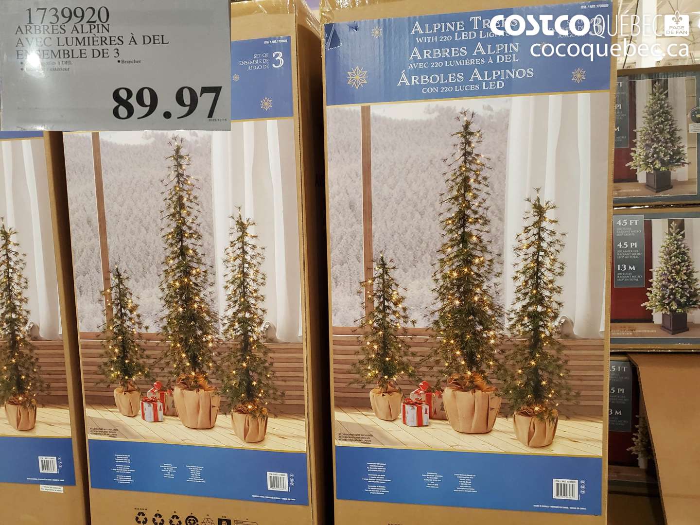 1739920 ARBRES ALPIN AVEC LUMIÈRES À DEL ENSEMBLE DE 3 $89.97