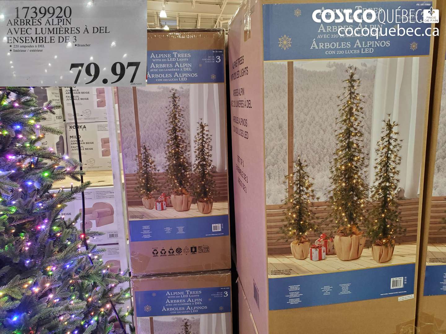 1739920 ARBRES ALPIN AVEC LUMIÈRES À DEL ENSEMBLE DE 3 $79.97