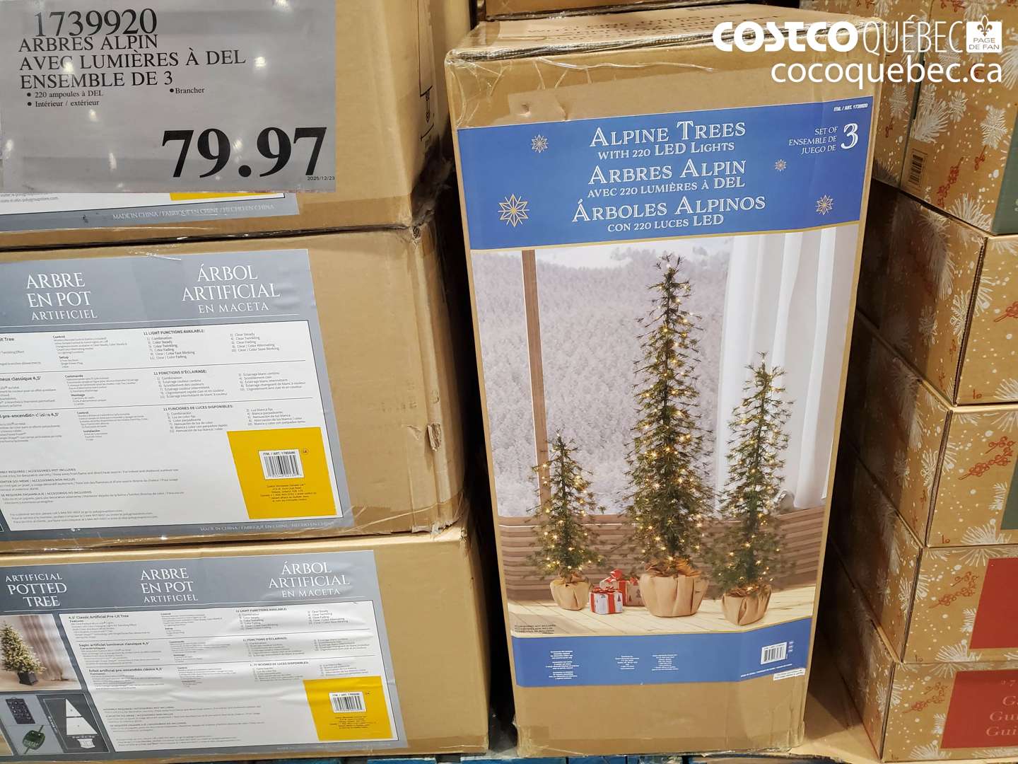 1739920 ARBRES ALPIN AVEC LUMIERES A DEL ENSEMBLE DE 3 $79.97