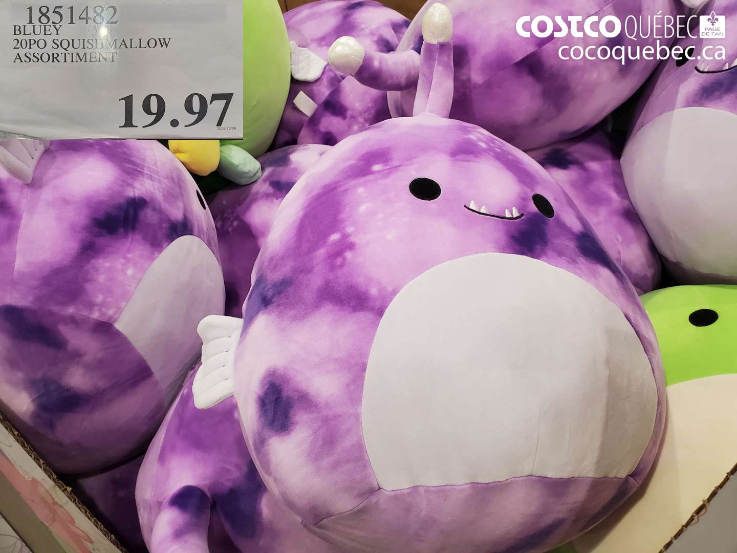 1851482 BLUEY 20PC SQUISHMALLOW ASSORTMENT $19.97