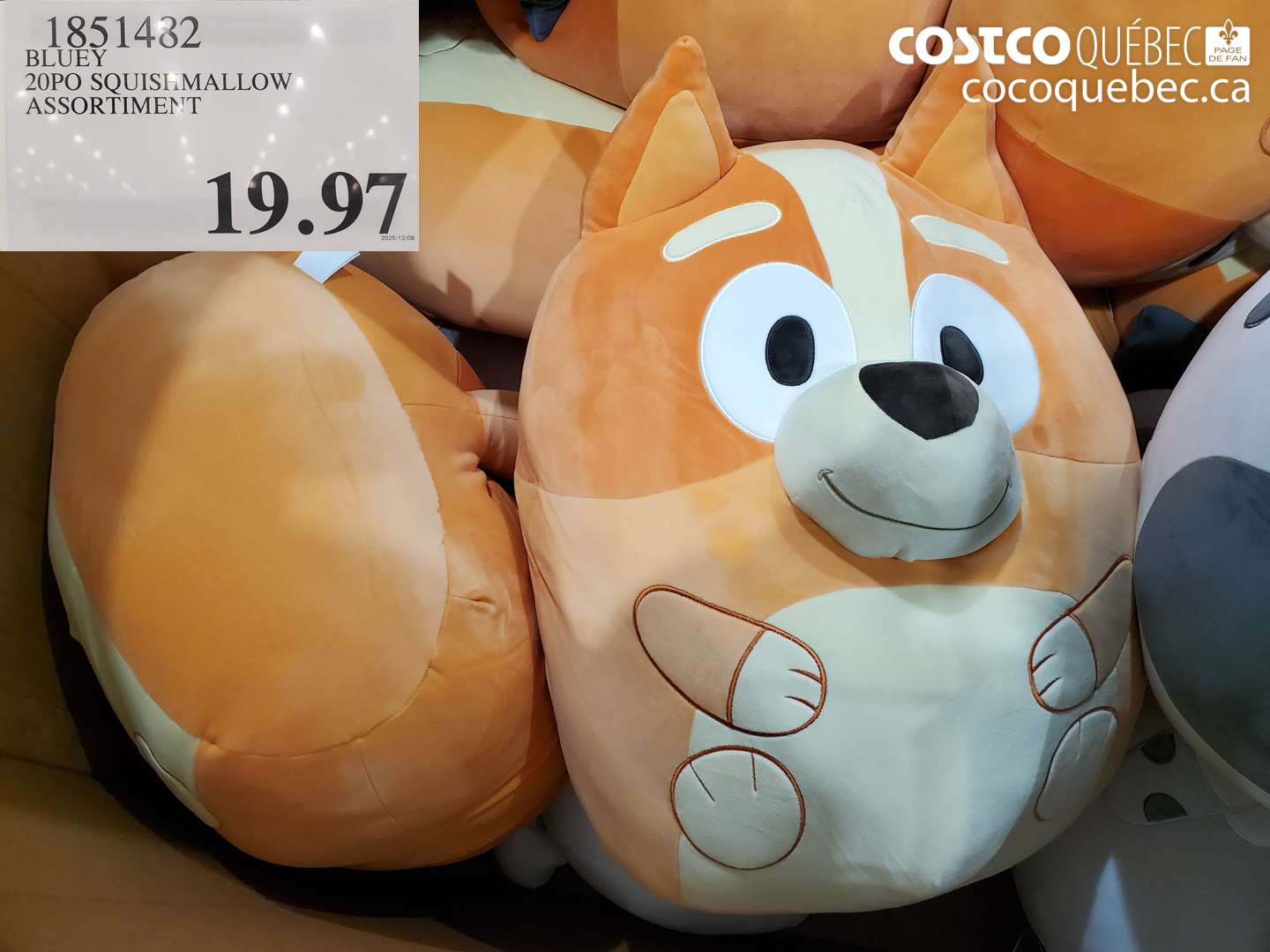 1851482 BLUEY 20PO SQUISHMALLOW ASSORTMENT $19.97