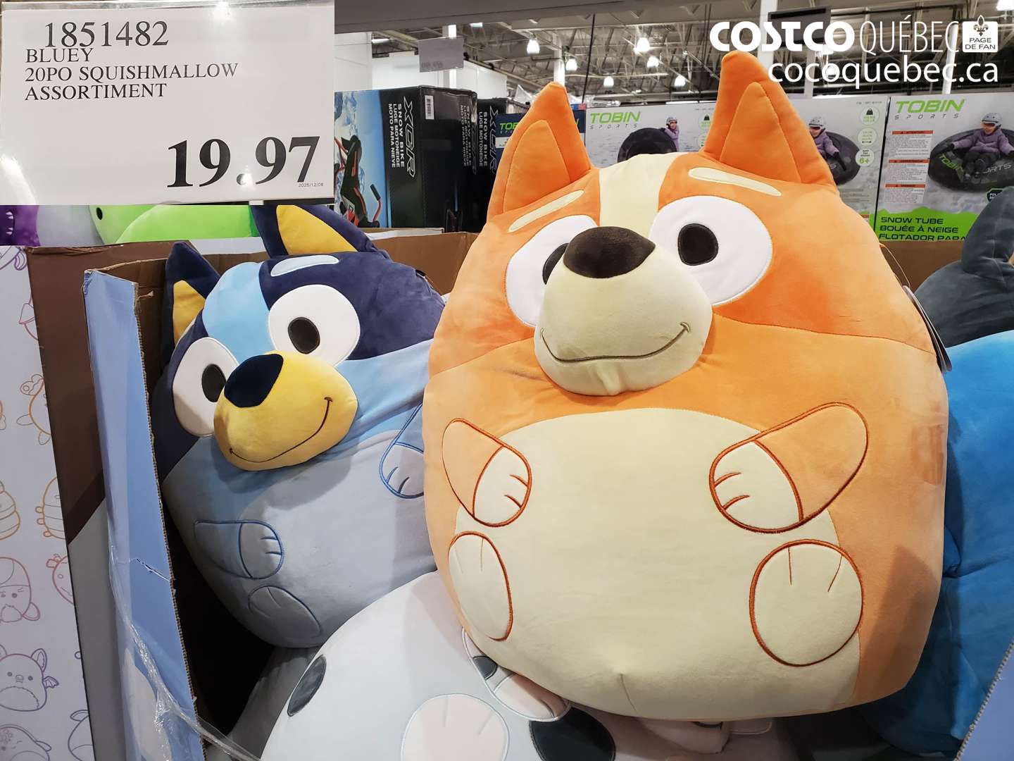 1851482 BLUEY 20PO SQUISHMALLOW ASSORTMENT $19.97