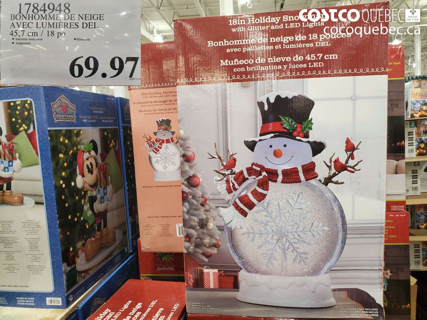 1784948 BONHOMME DE NEIGE AVEC LUMIERES DEL 45,7 cm / 18 po $69.97