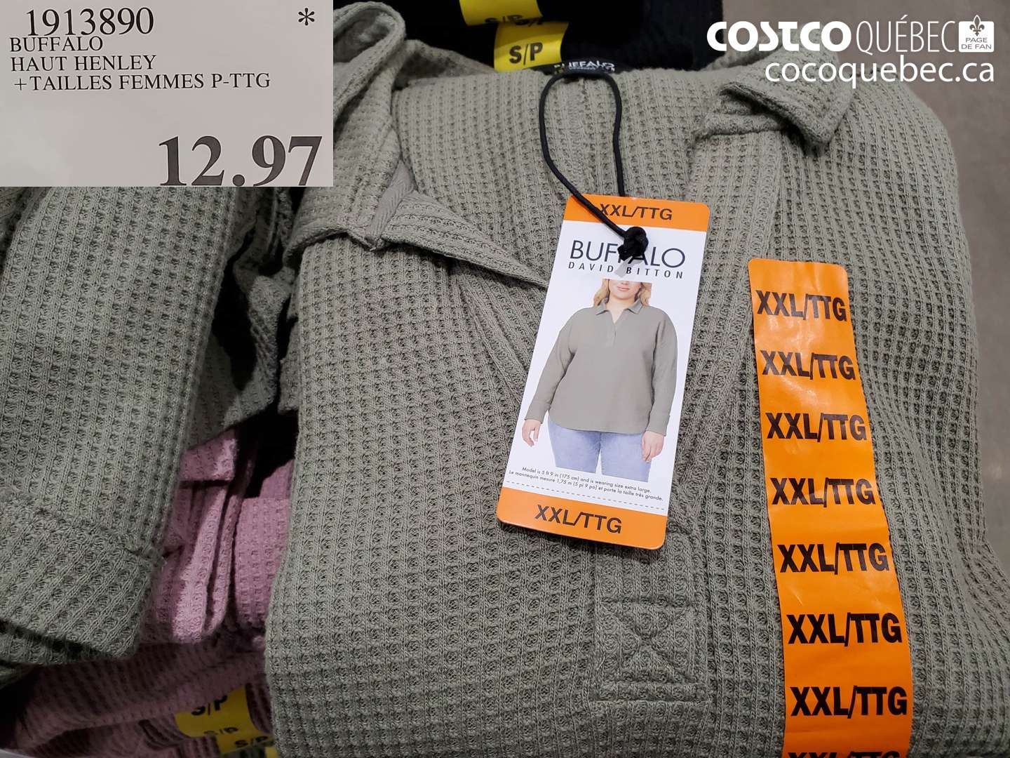 1913890 BUFFALO HAUT HENLEY +TAILLES FEMMES P-TPG $12.97