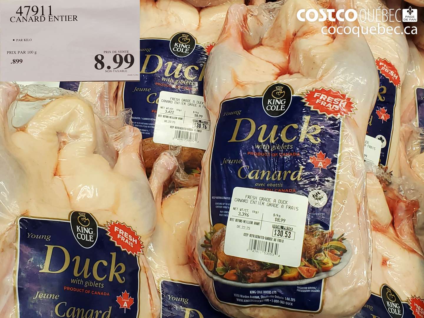 47911 CANARD ENTIER $8.99