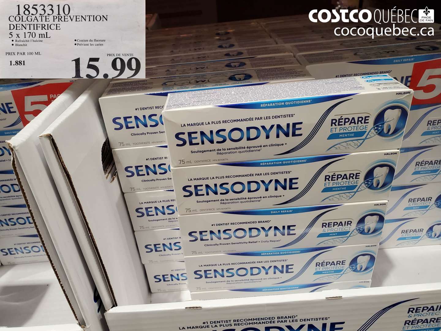 1853310 COLGATE PREVENTION DENTIFRICE 5 x 170 mL $15.99