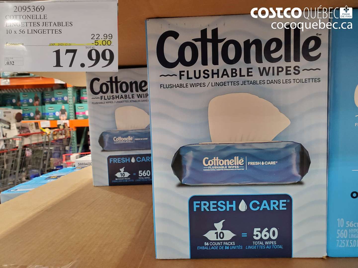 2095369 COTTONELLE LINGETTES JETABLES 10 x 56 LINGETTES (EXPIRES ON 2025-12-21) $17.99